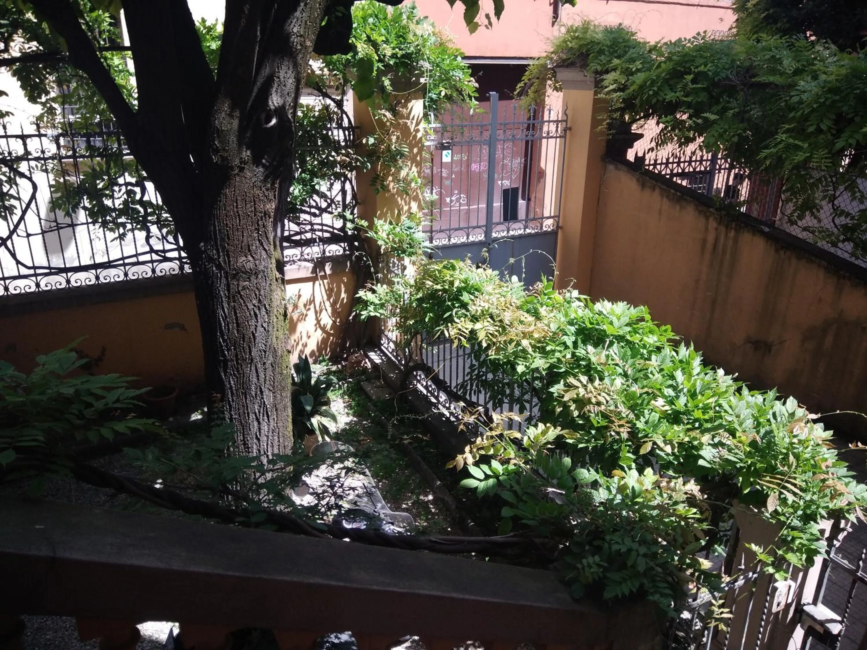 View (from property/room) in Tilia