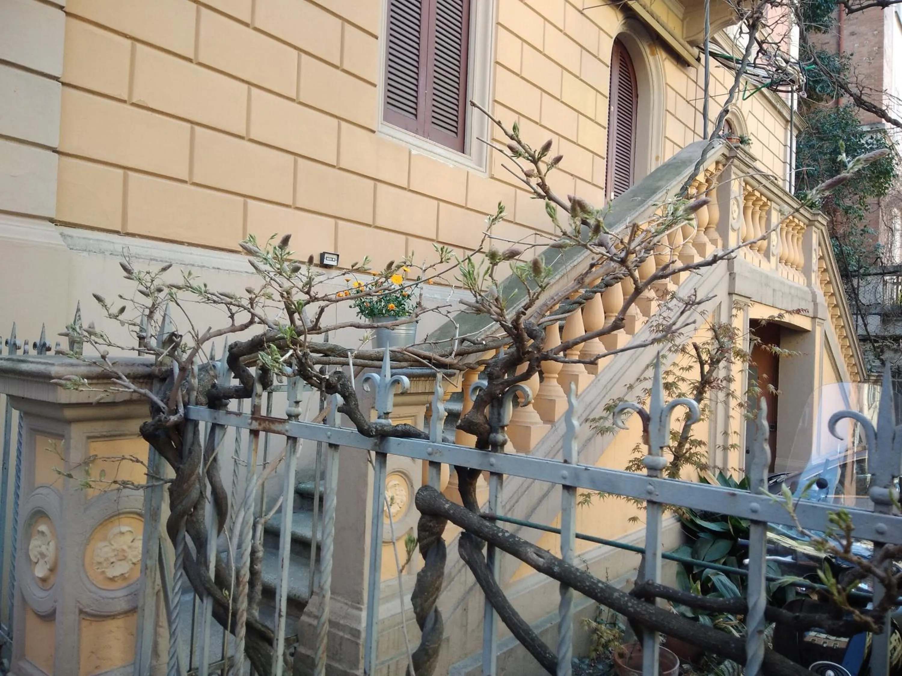 Facade/entrance in Tilia