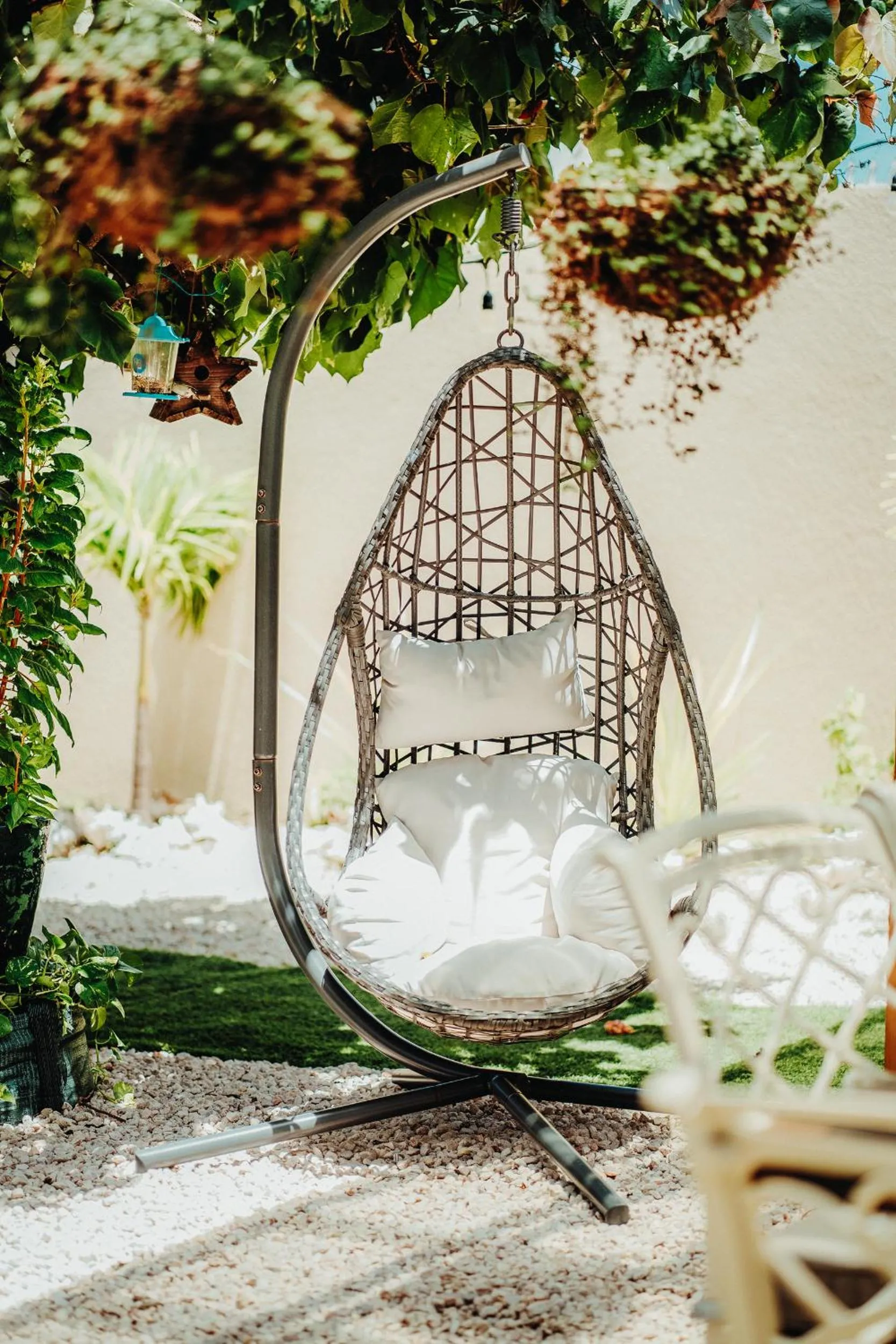 Garden in Hotel RH Boutique Aruba