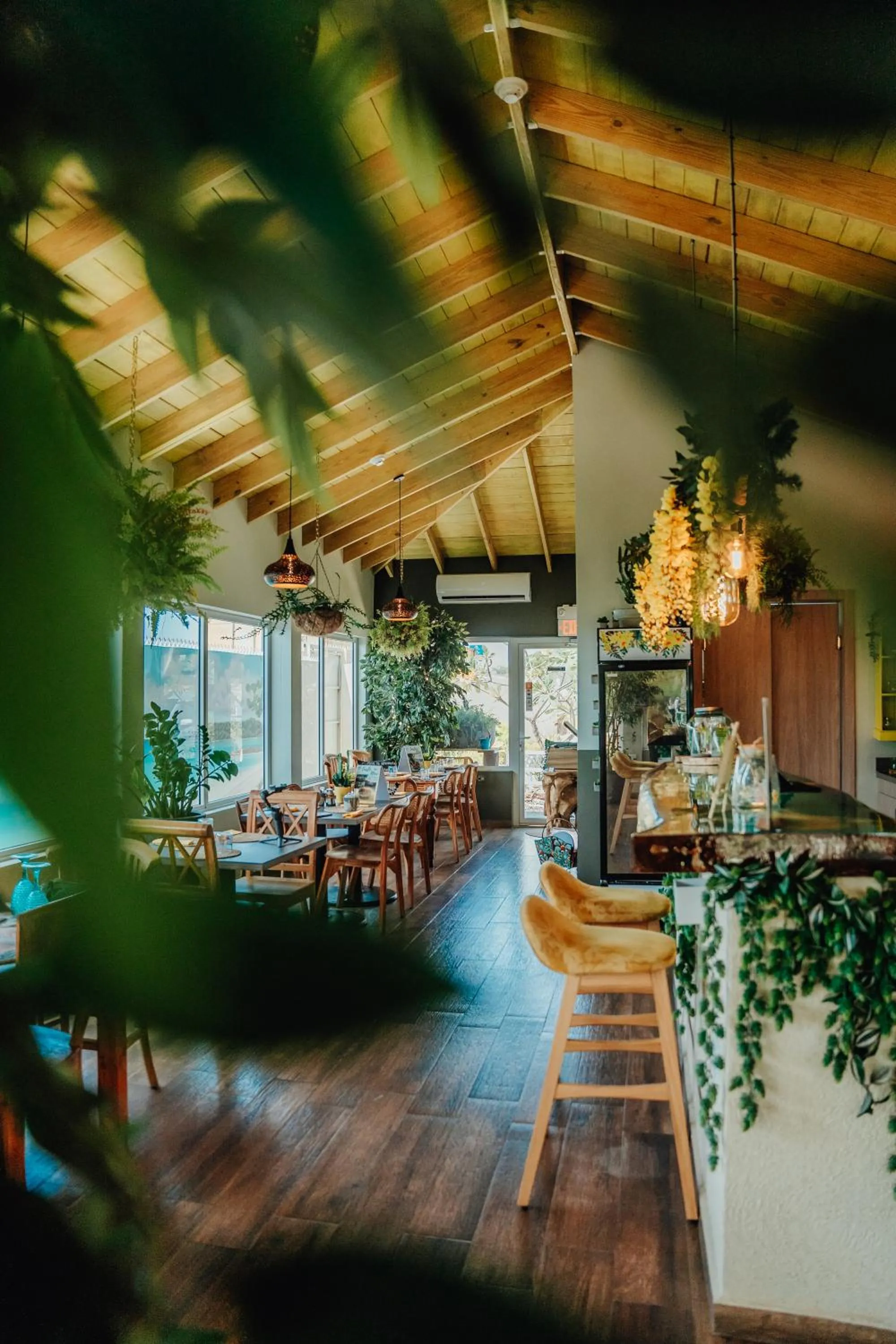 Restaurant/places to eat in Hotel RH Boutique Aruba