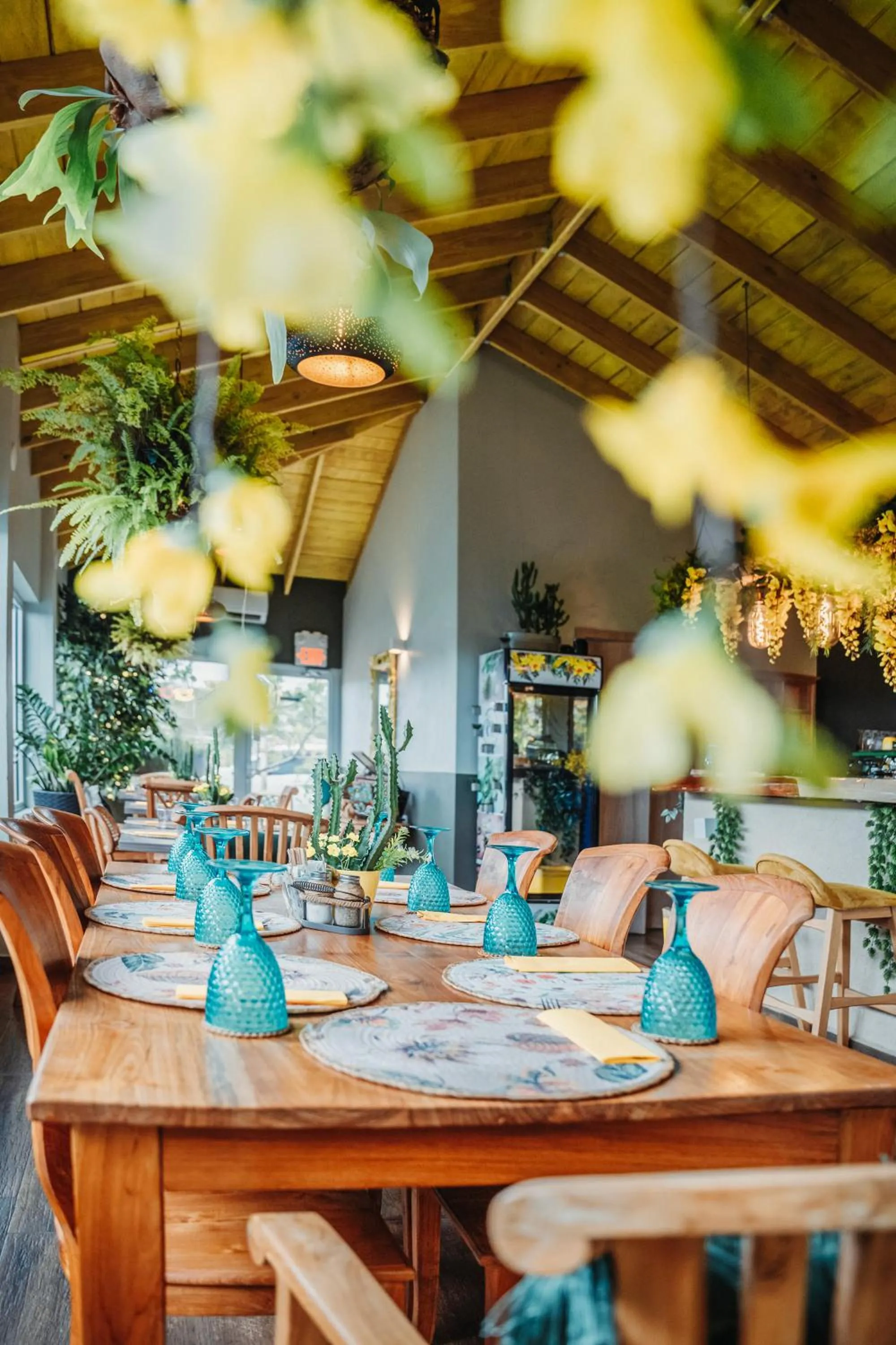 Food and drinks in Hotel RH Boutique Aruba