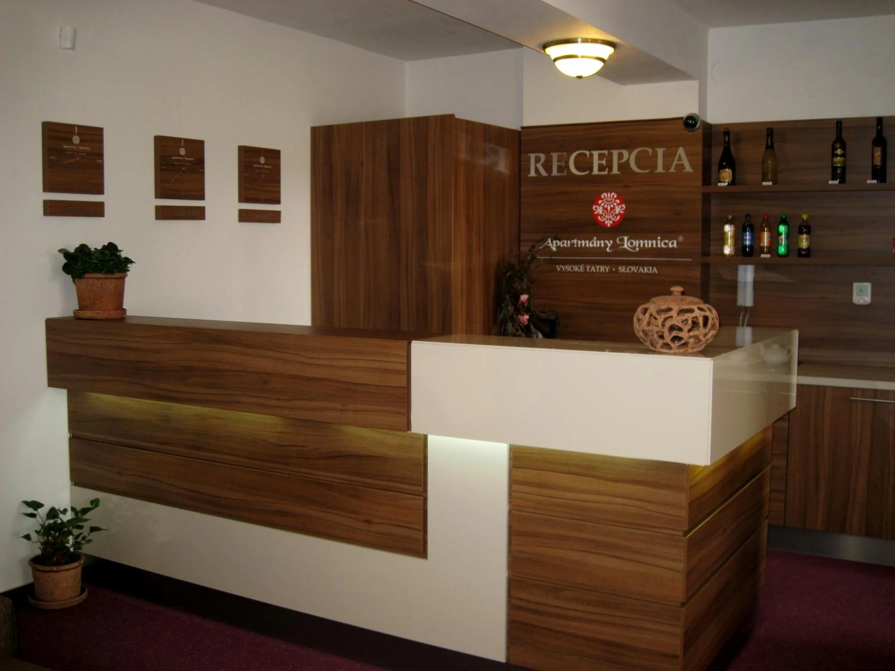 Lobby or reception in Apartmany Sileas