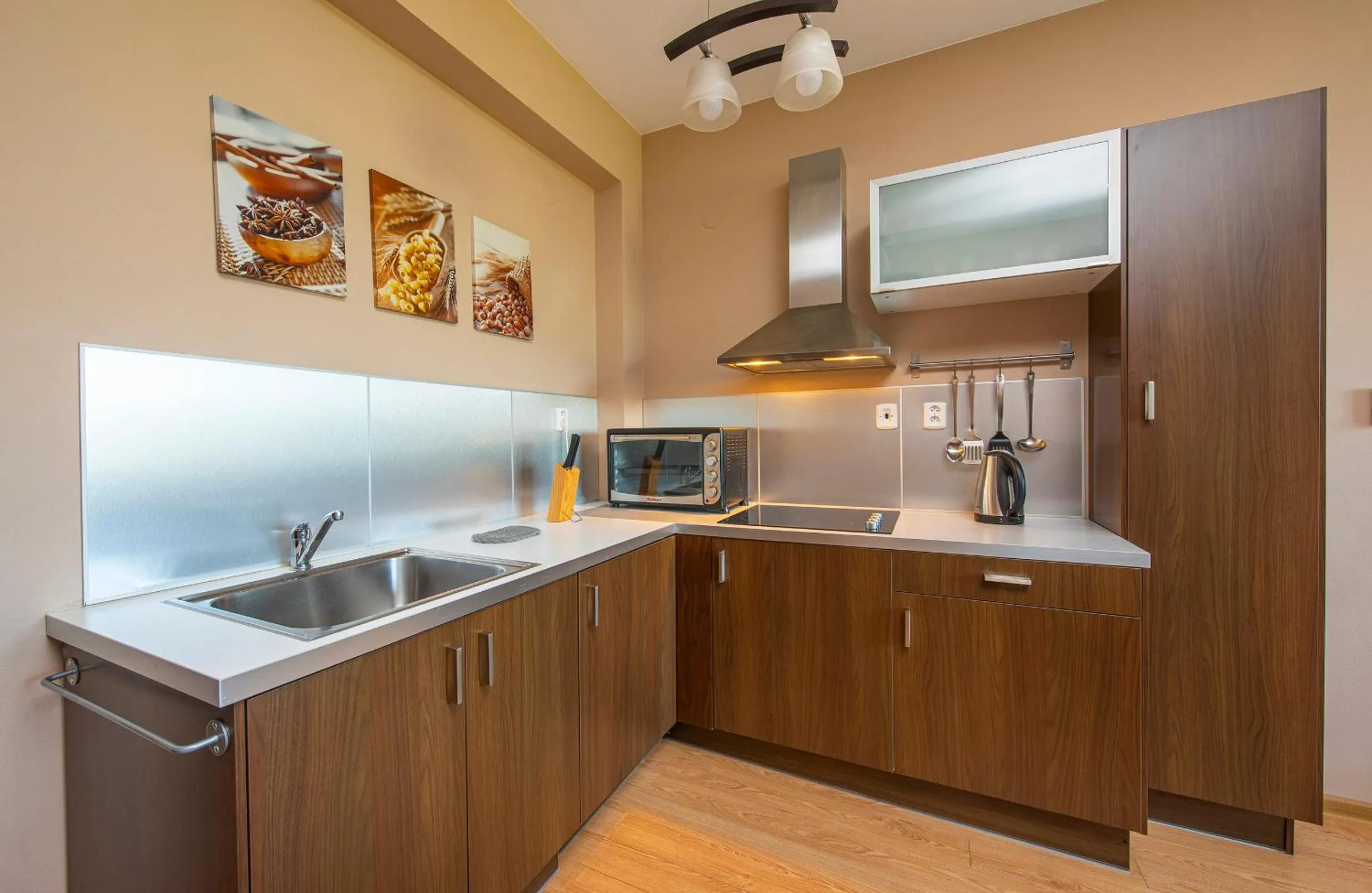 kitchen in Apartmany Sileas