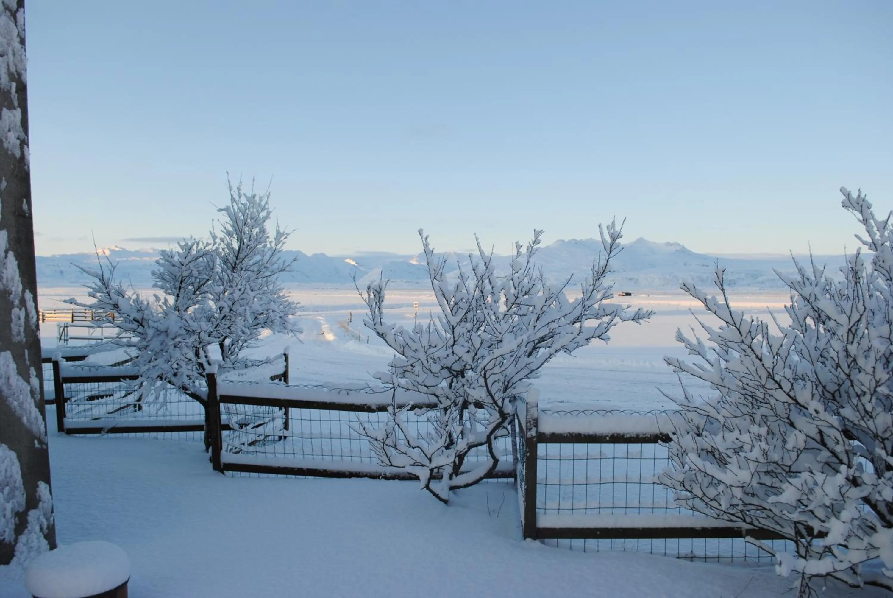 Natural landscape in Brunnholl Country Guesthouse