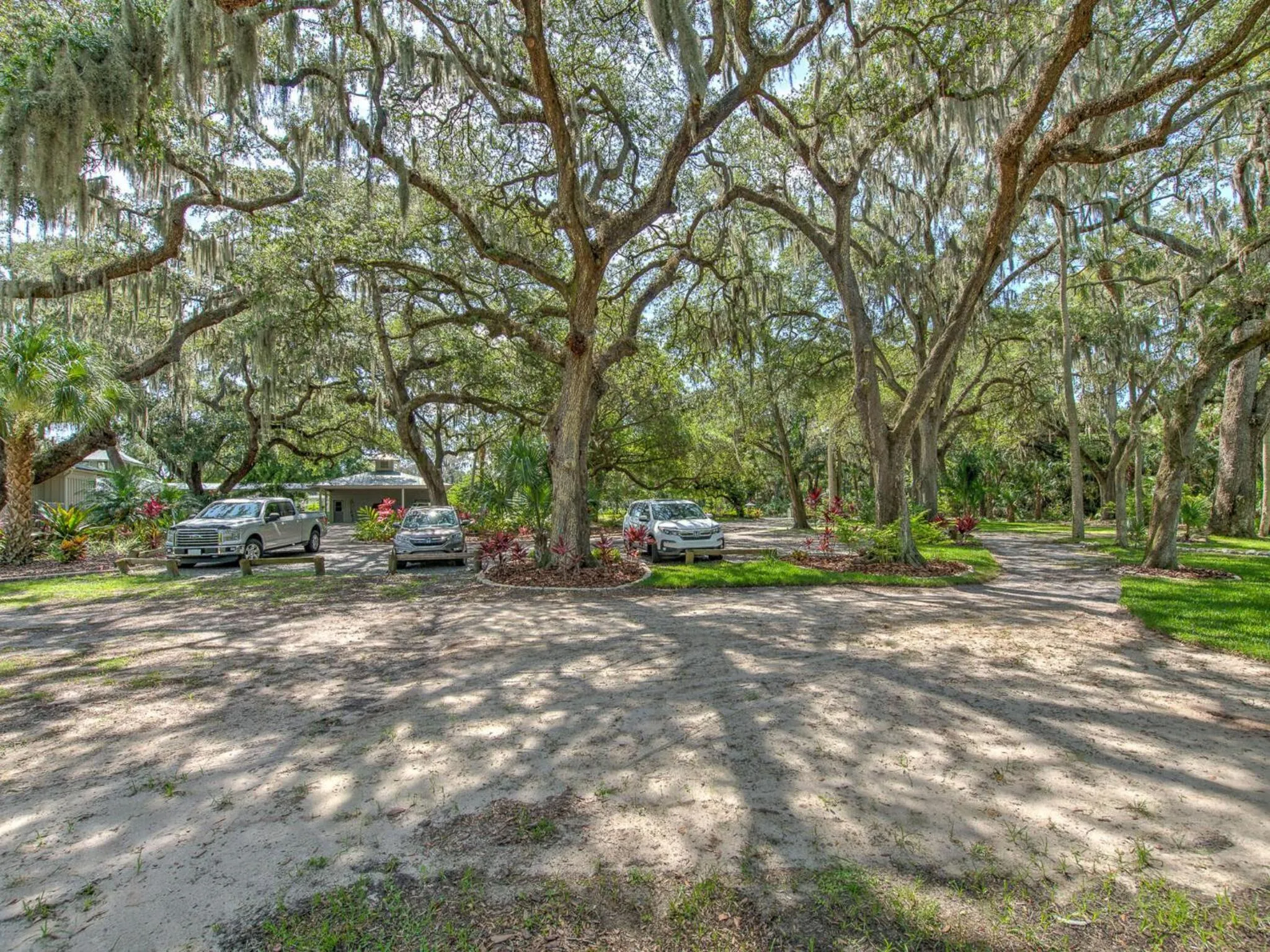 Natural landscape in Riverbend Retreat Fla