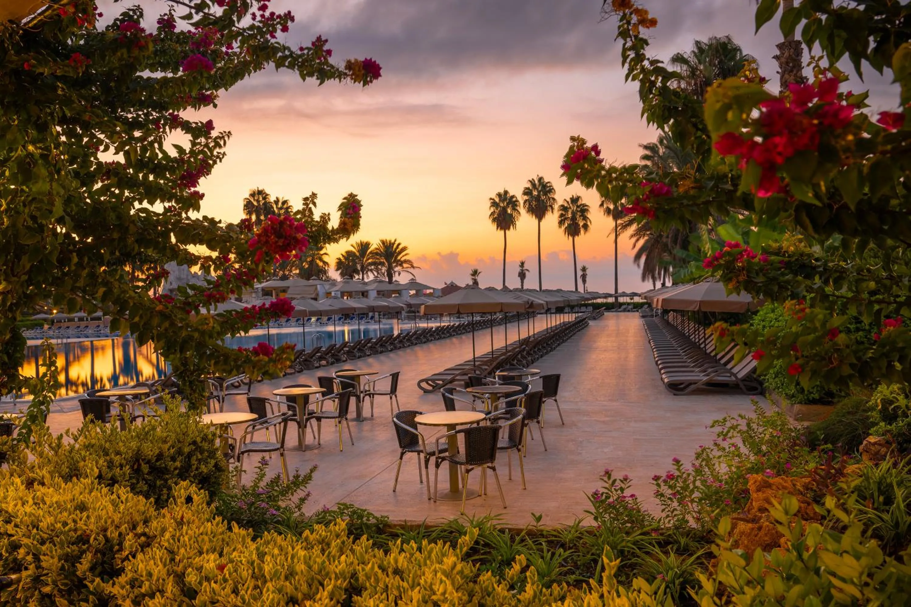 Lounge or bar in Adora Hotel & Resort