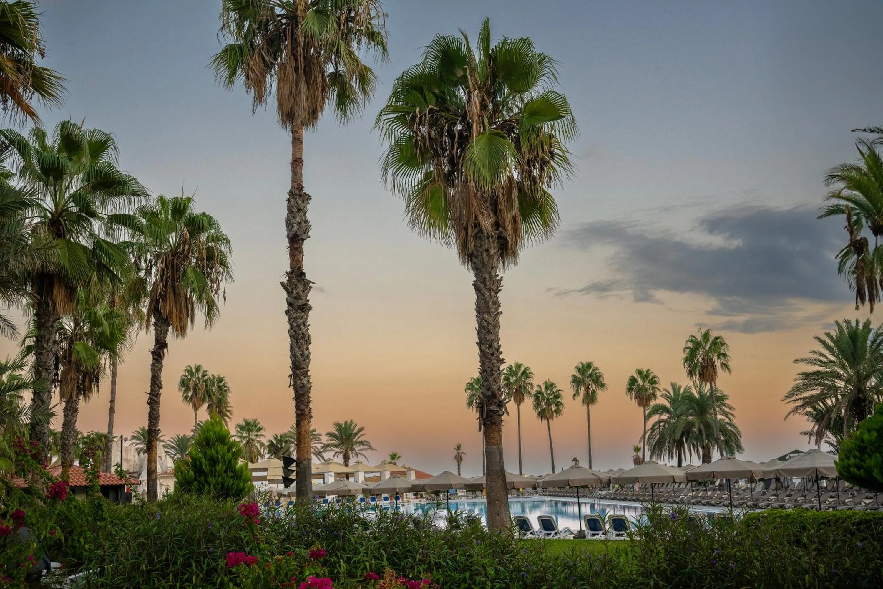 Natural landscape in Adora Hotel & Resort