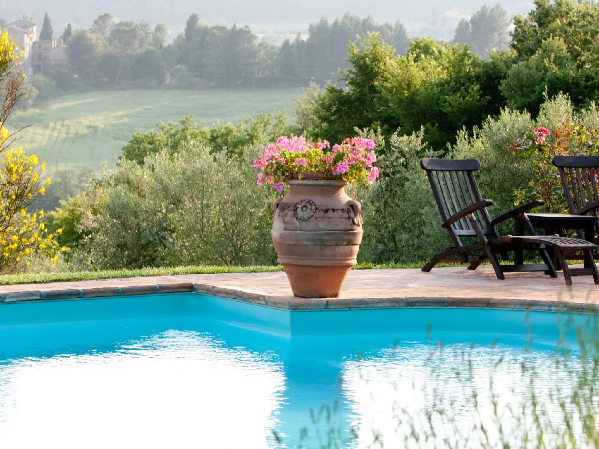Swimming pool in Tenuta Di Canonica