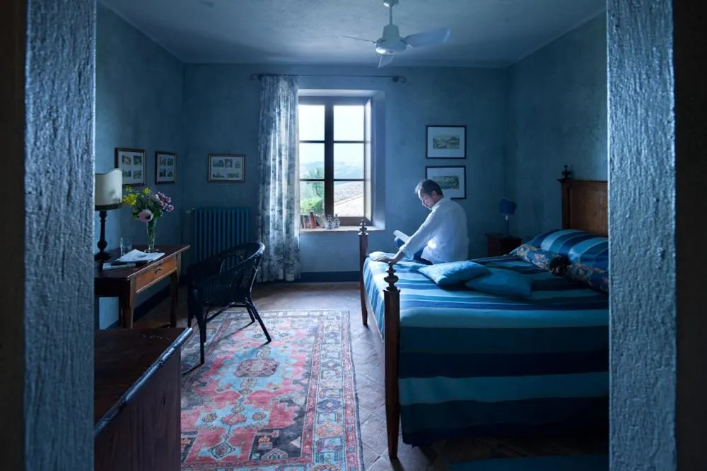 View (from property/room) in Tenuta Di Canonica