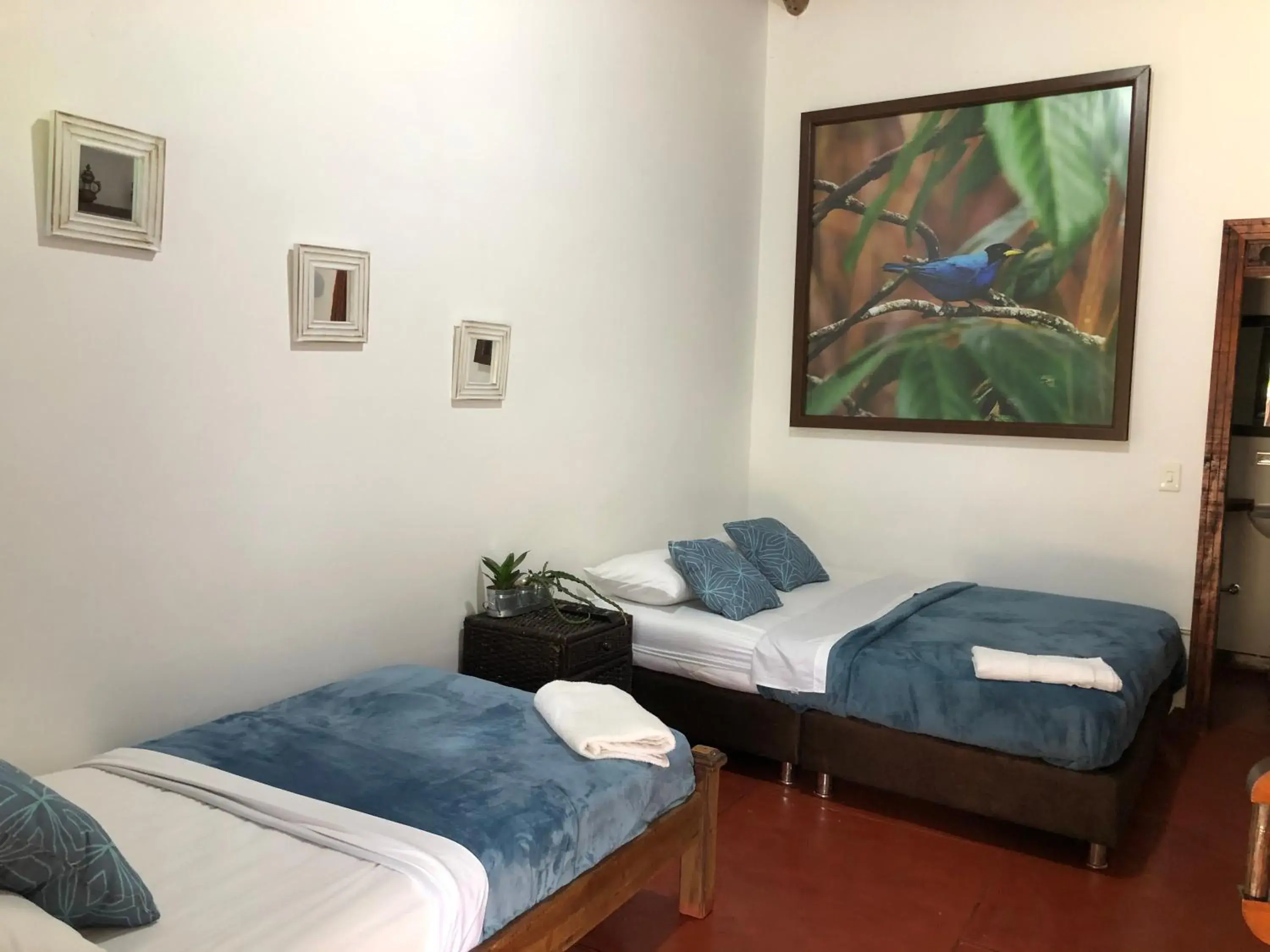 Deluxe Twin Room in Finca Hotel Brasilia Deluxe Twin Room in Finca Hotel Brasilia