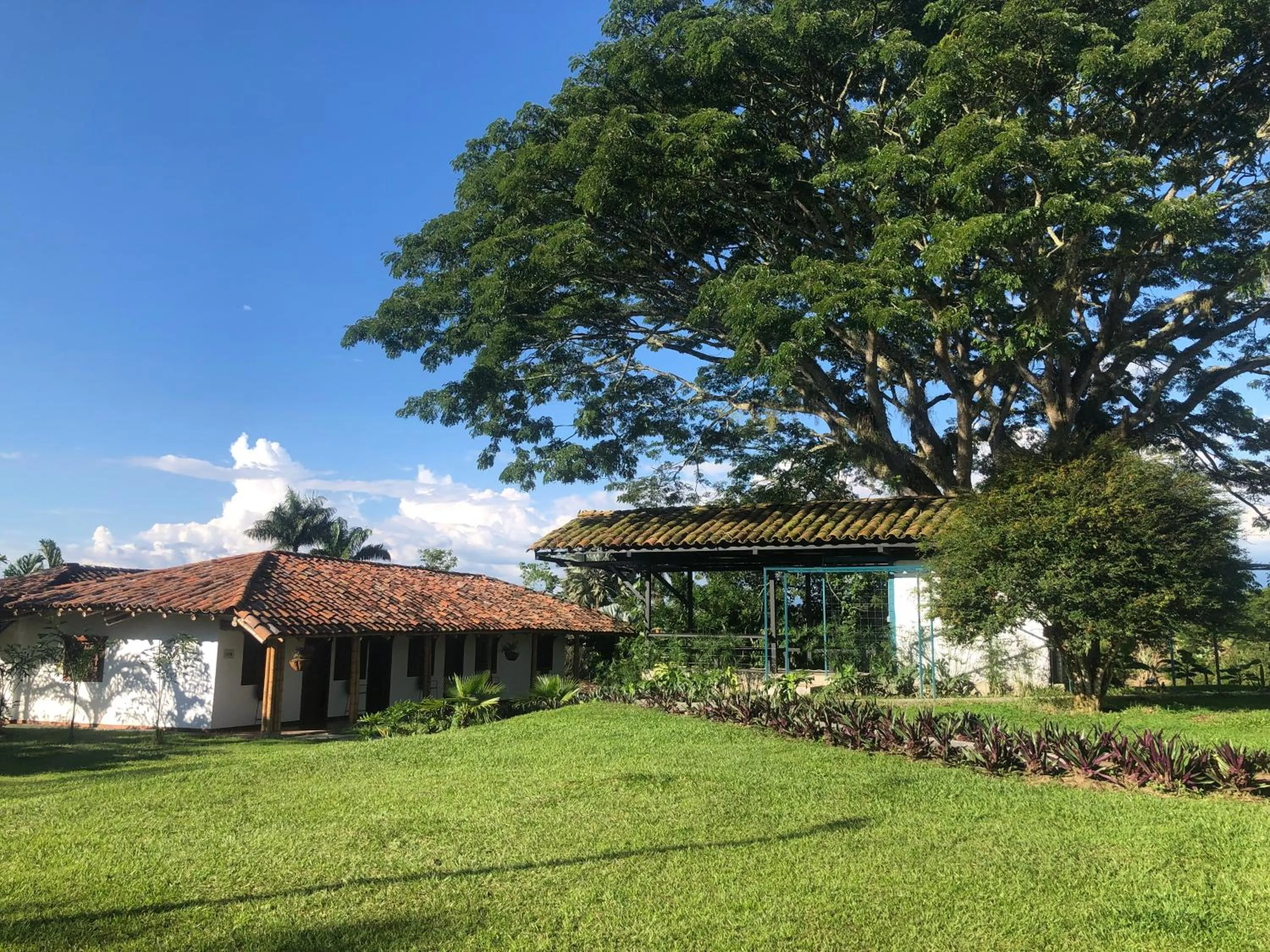Garden in Finca Hotel Brasilia