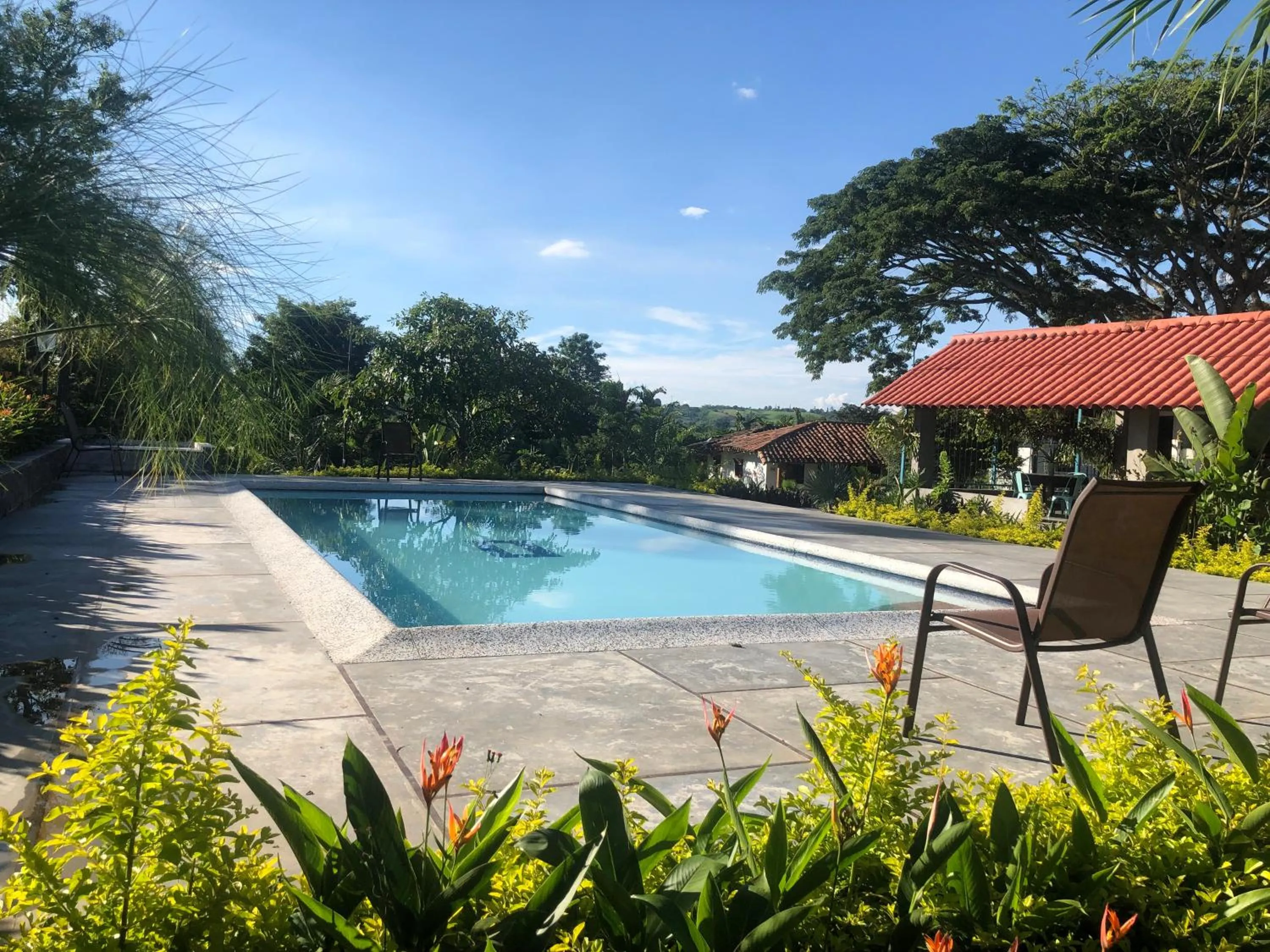 Swimming pool in Finca Hotel Brasilia