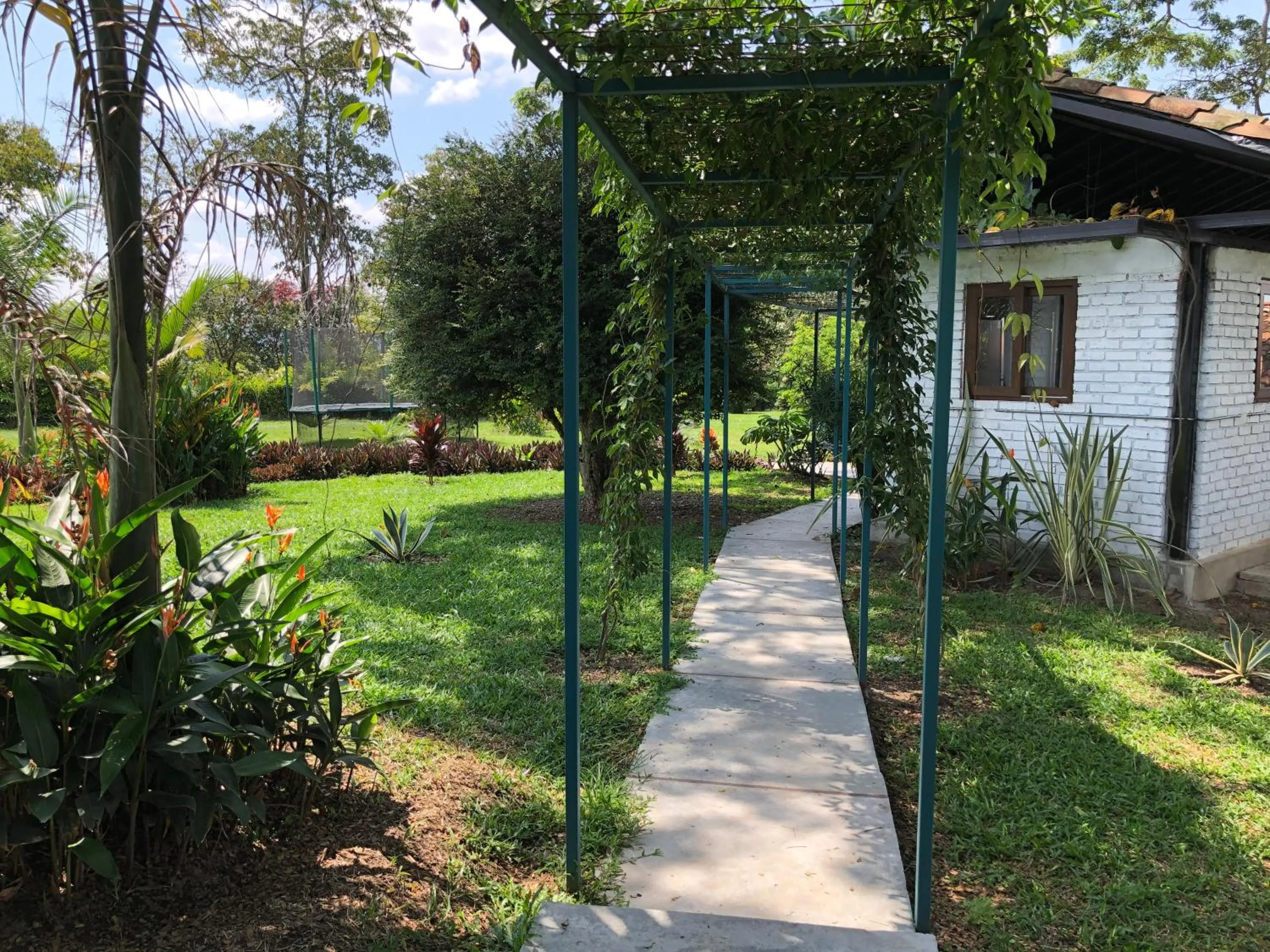 Garden in Finca Hotel Brasilia