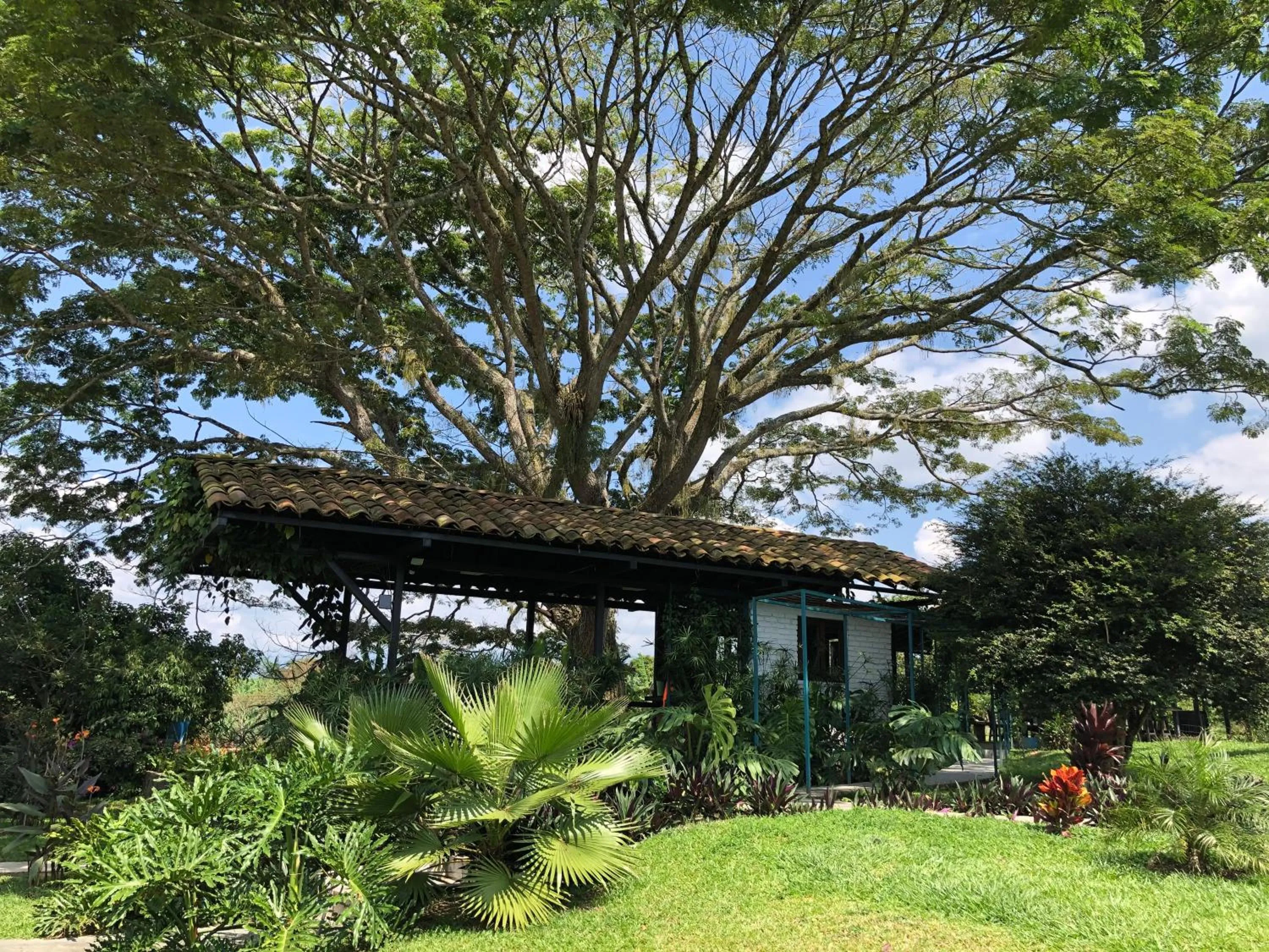 Property building in Finca Hotel Brasilia