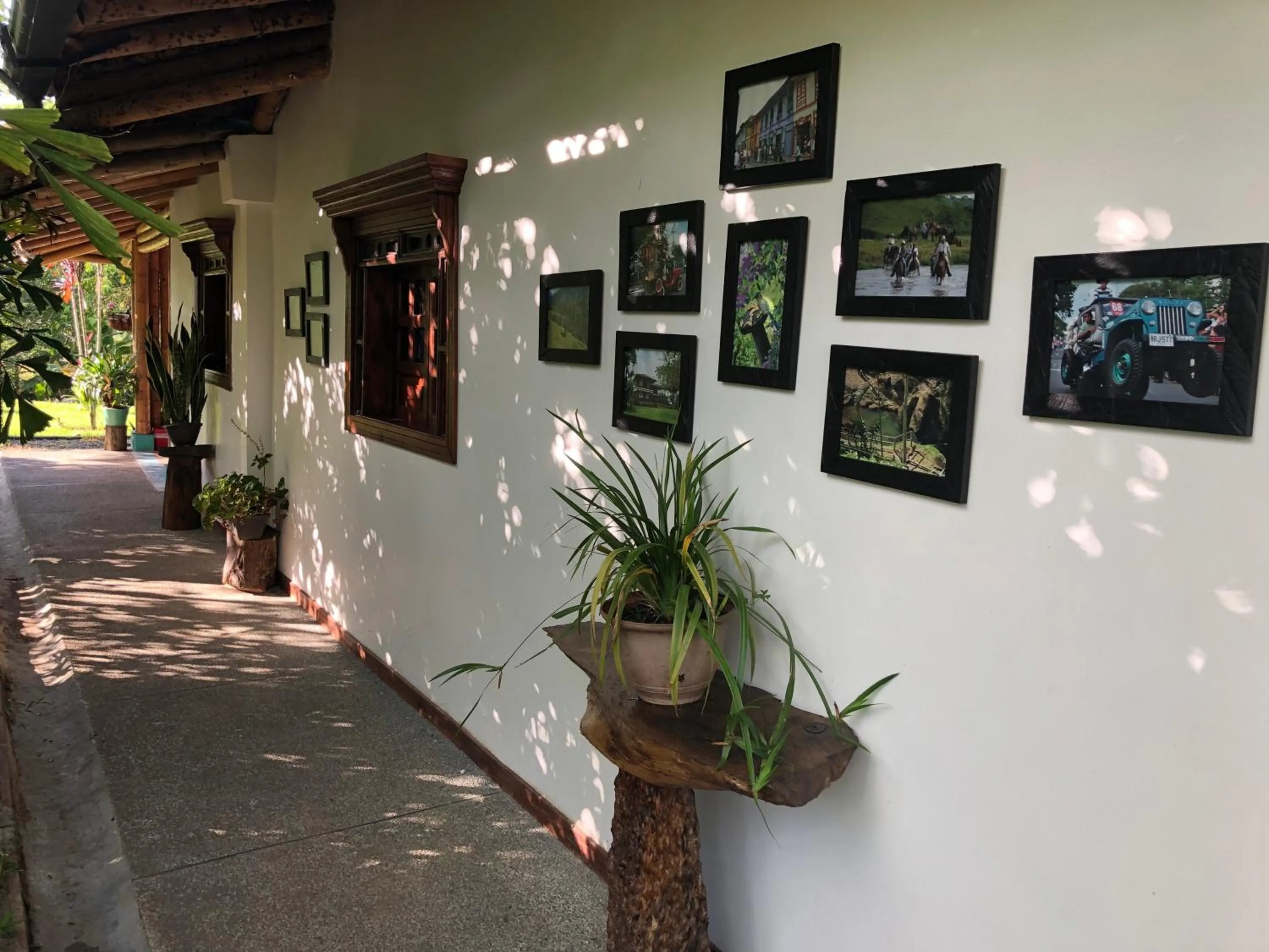 View (from property/room) in Finca Hotel Brasilia