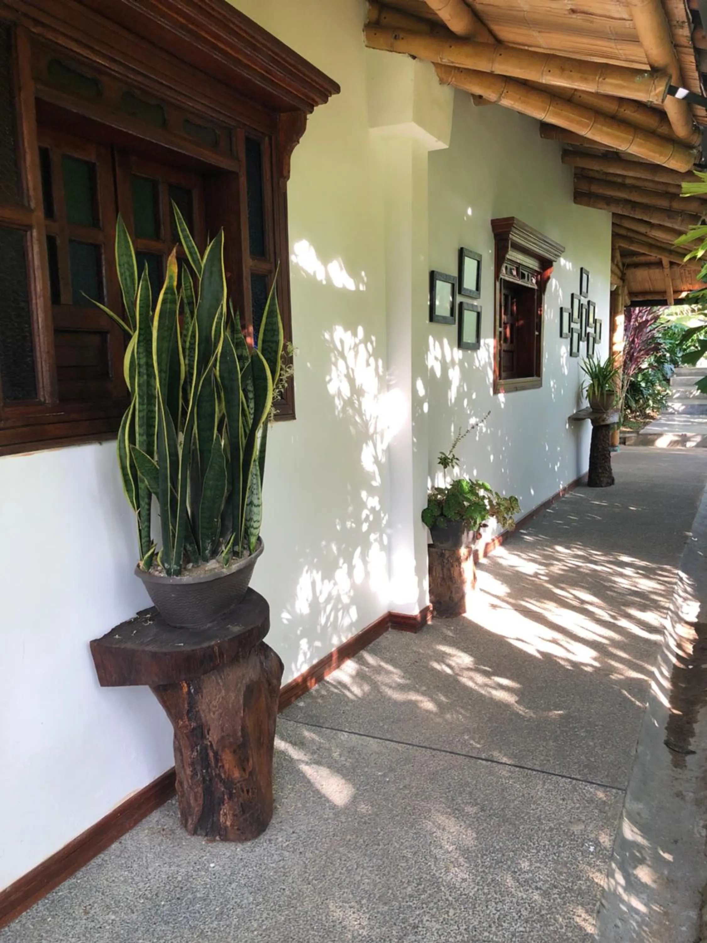 Day in Finca Hotel Brasilia