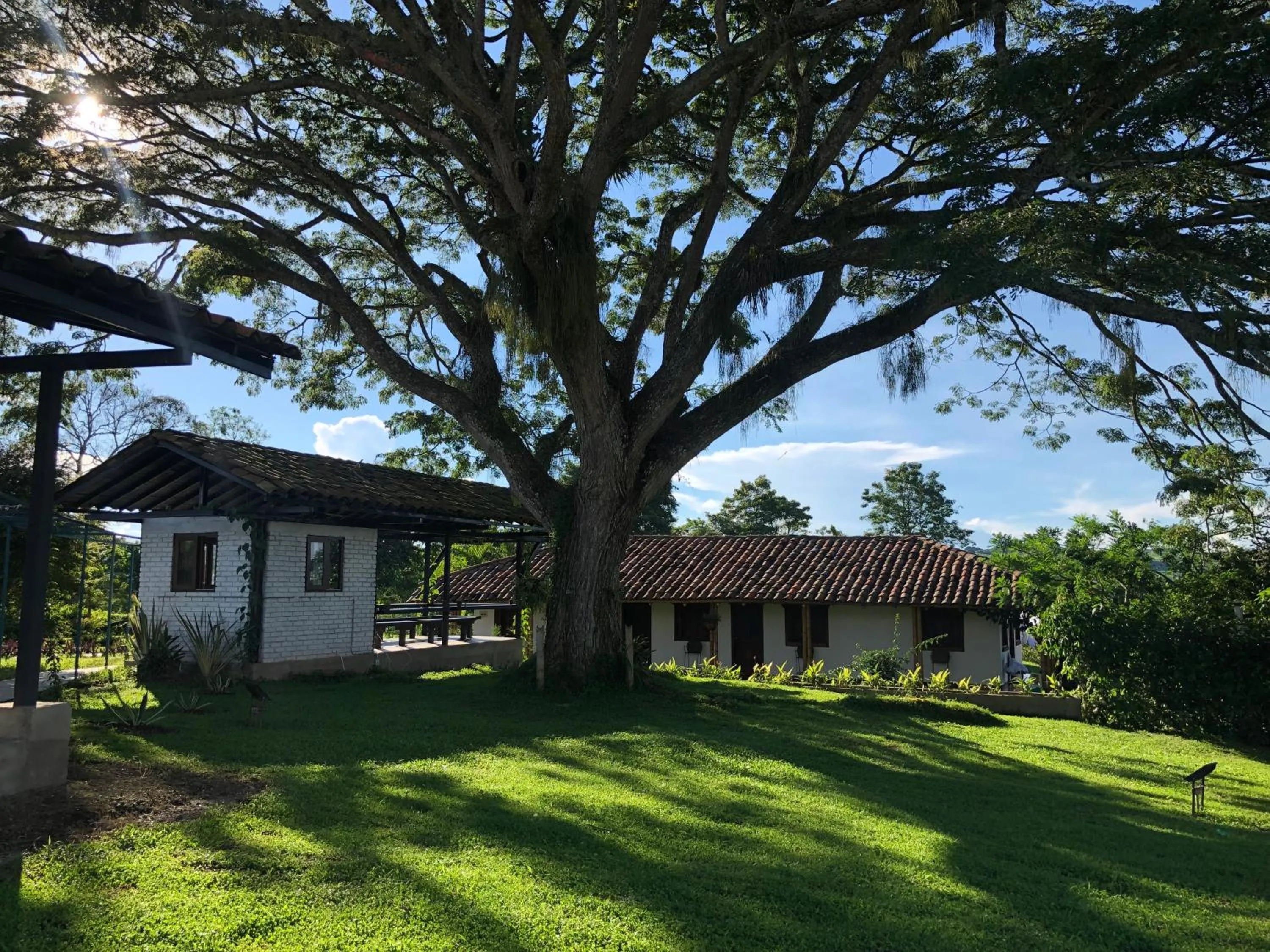 Garden in Finca Hotel Brasilia