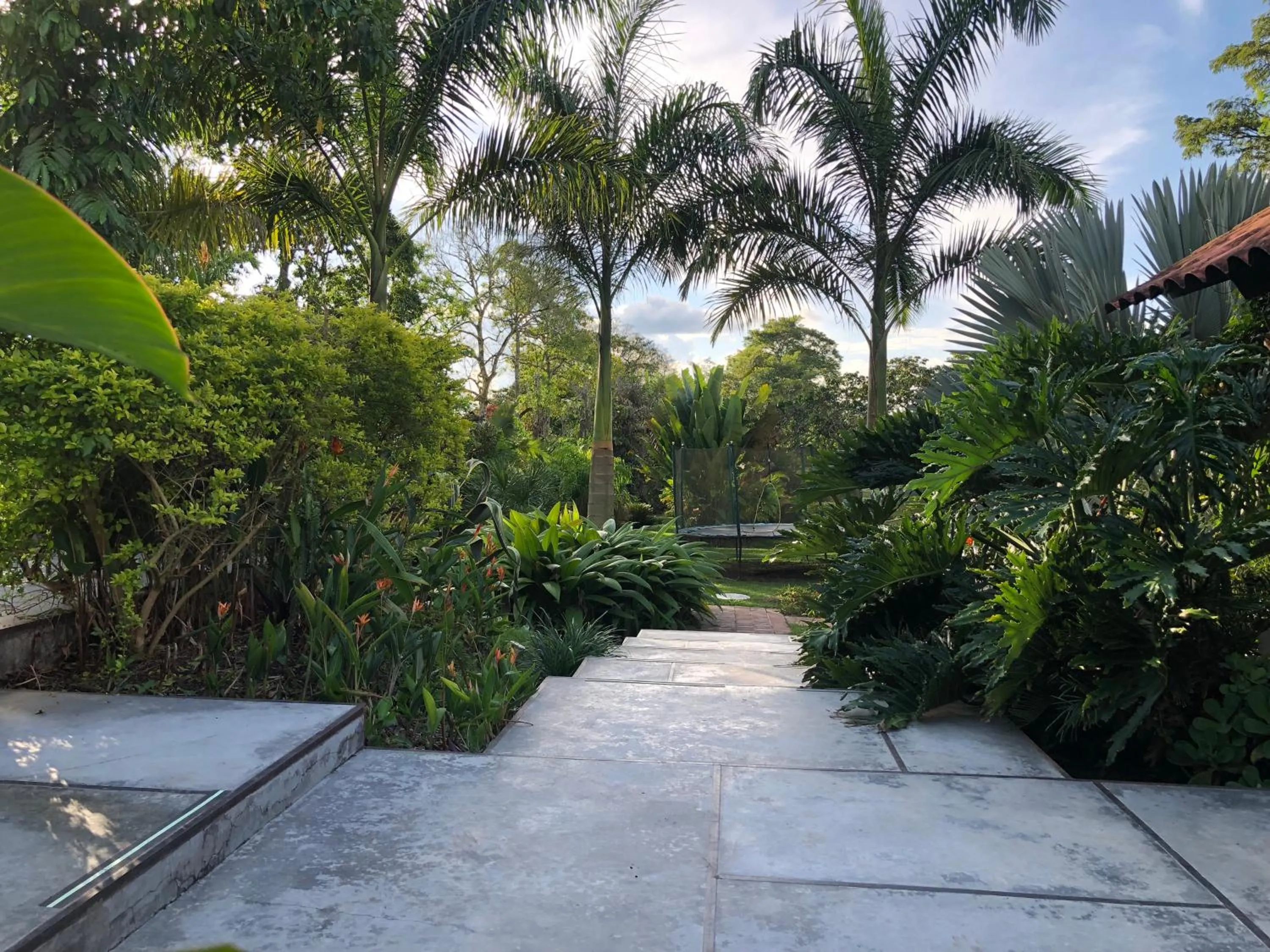 Spring in Finca Hotel Brasilia