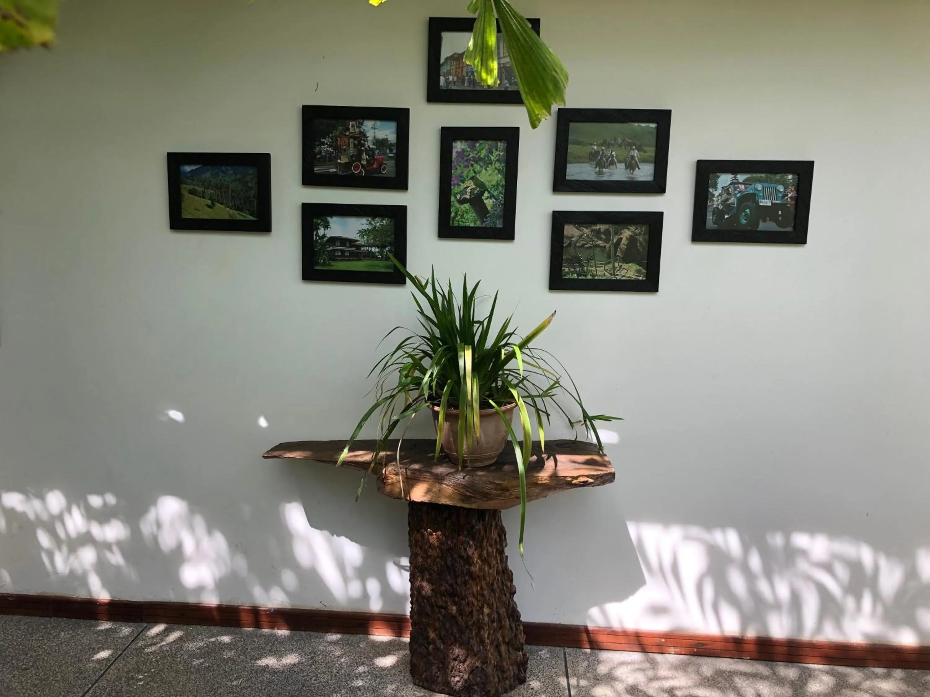 Decorative detail in Finca Hotel Brasilia