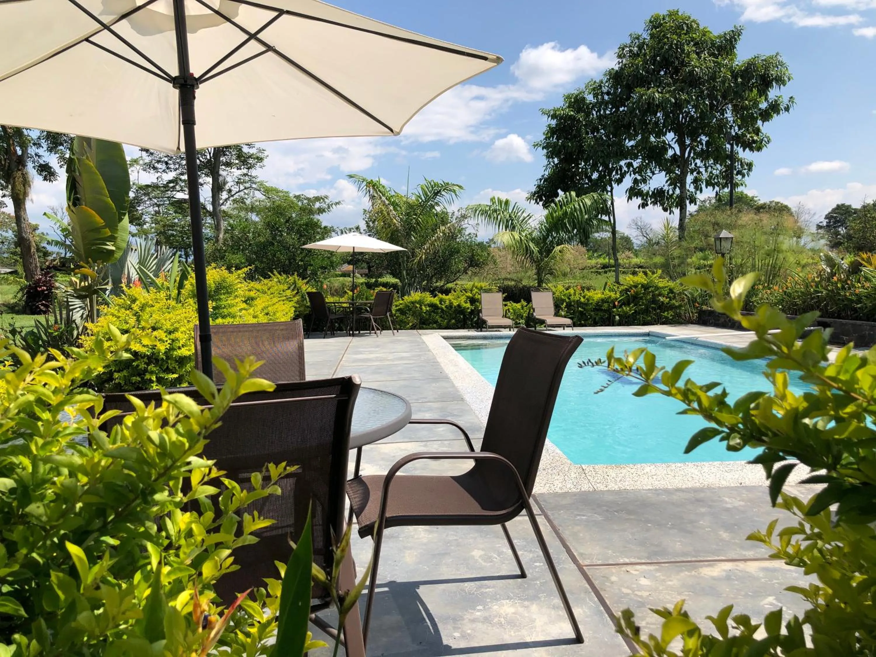 Pool view in Finca Hotel Brasilia