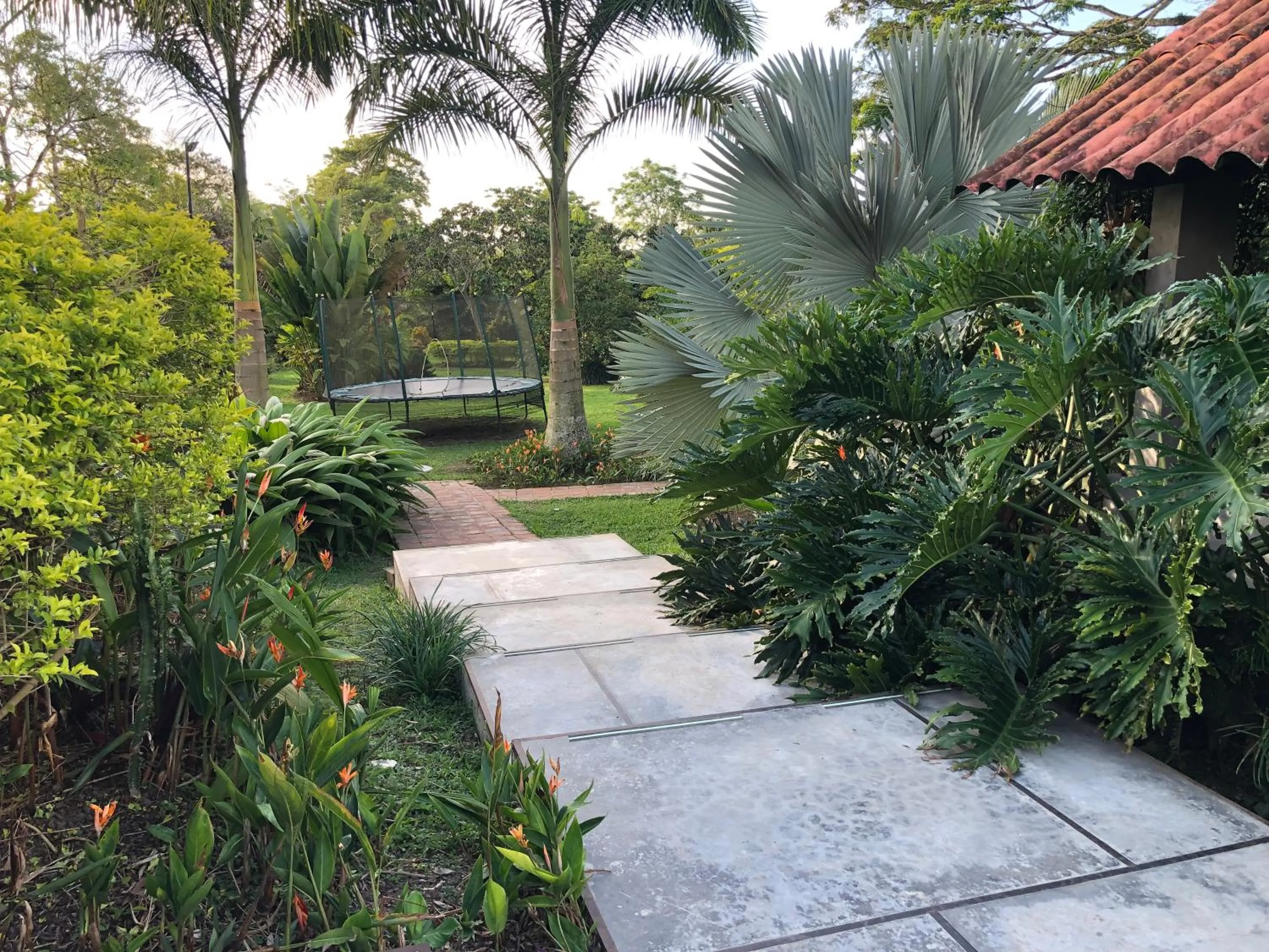 Spring in Finca Hotel Brasilia