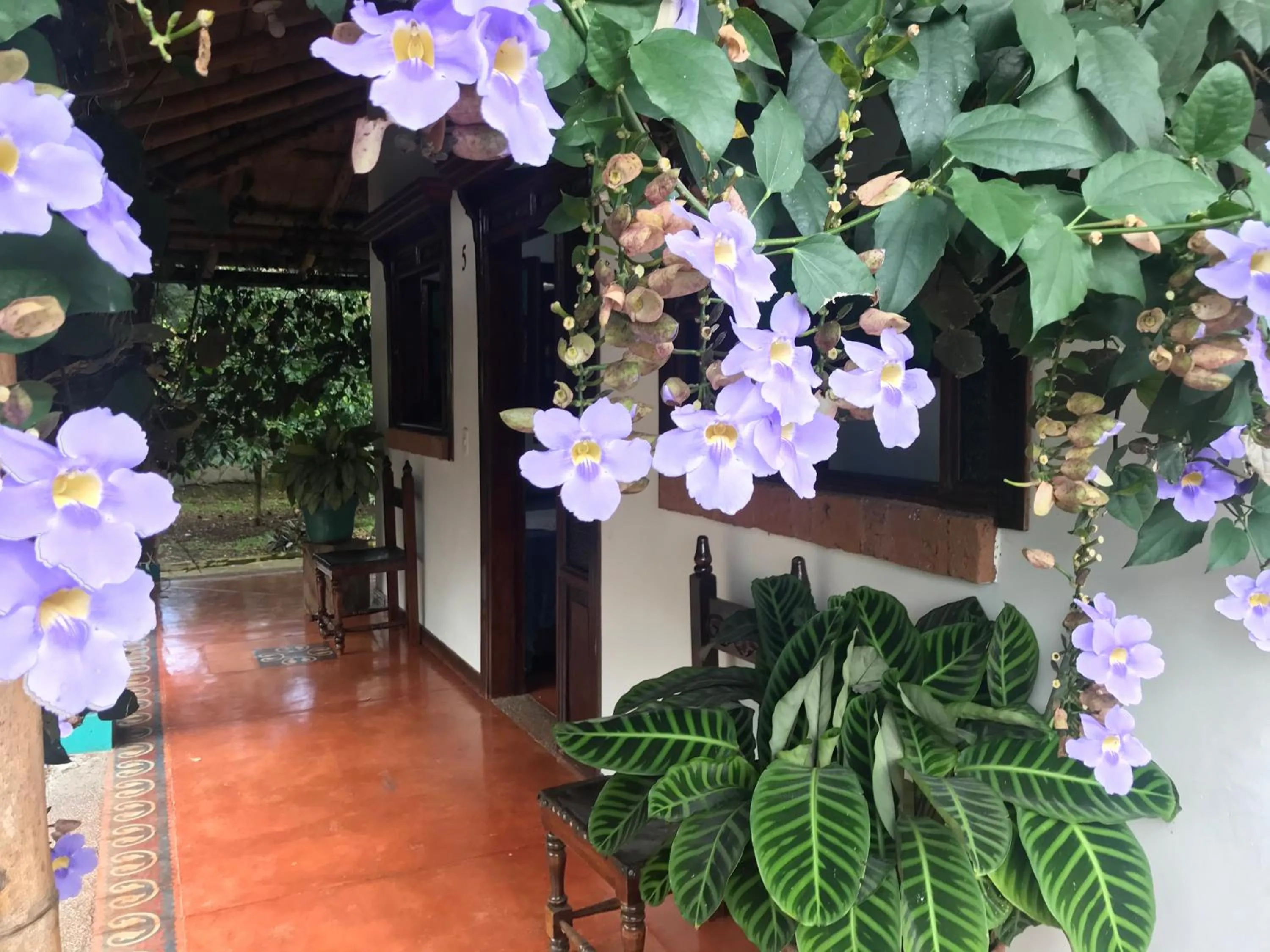 Facade/entrance in Finca Hotel Brasilia