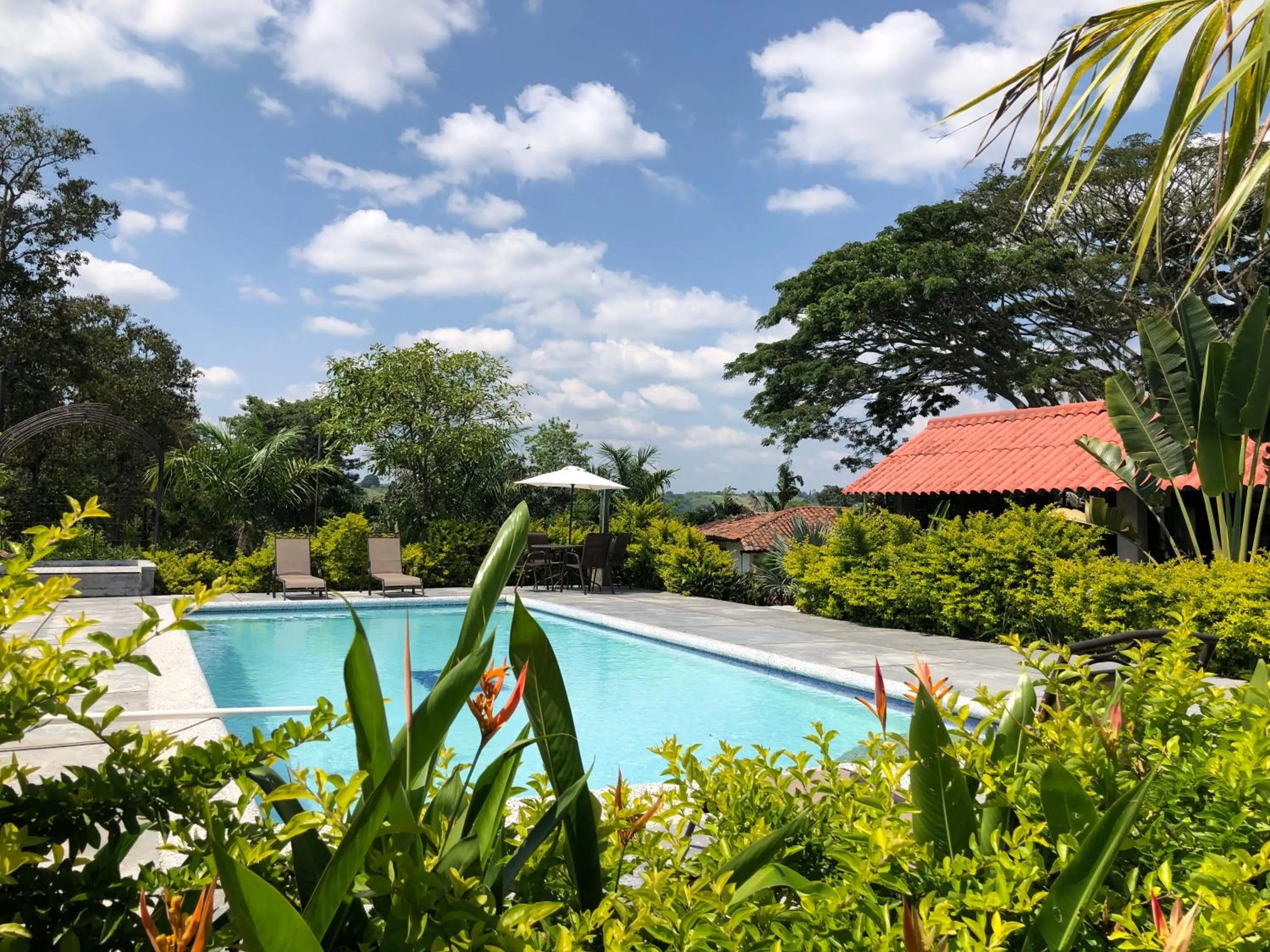Pool view in Finca Hotel Brasilia