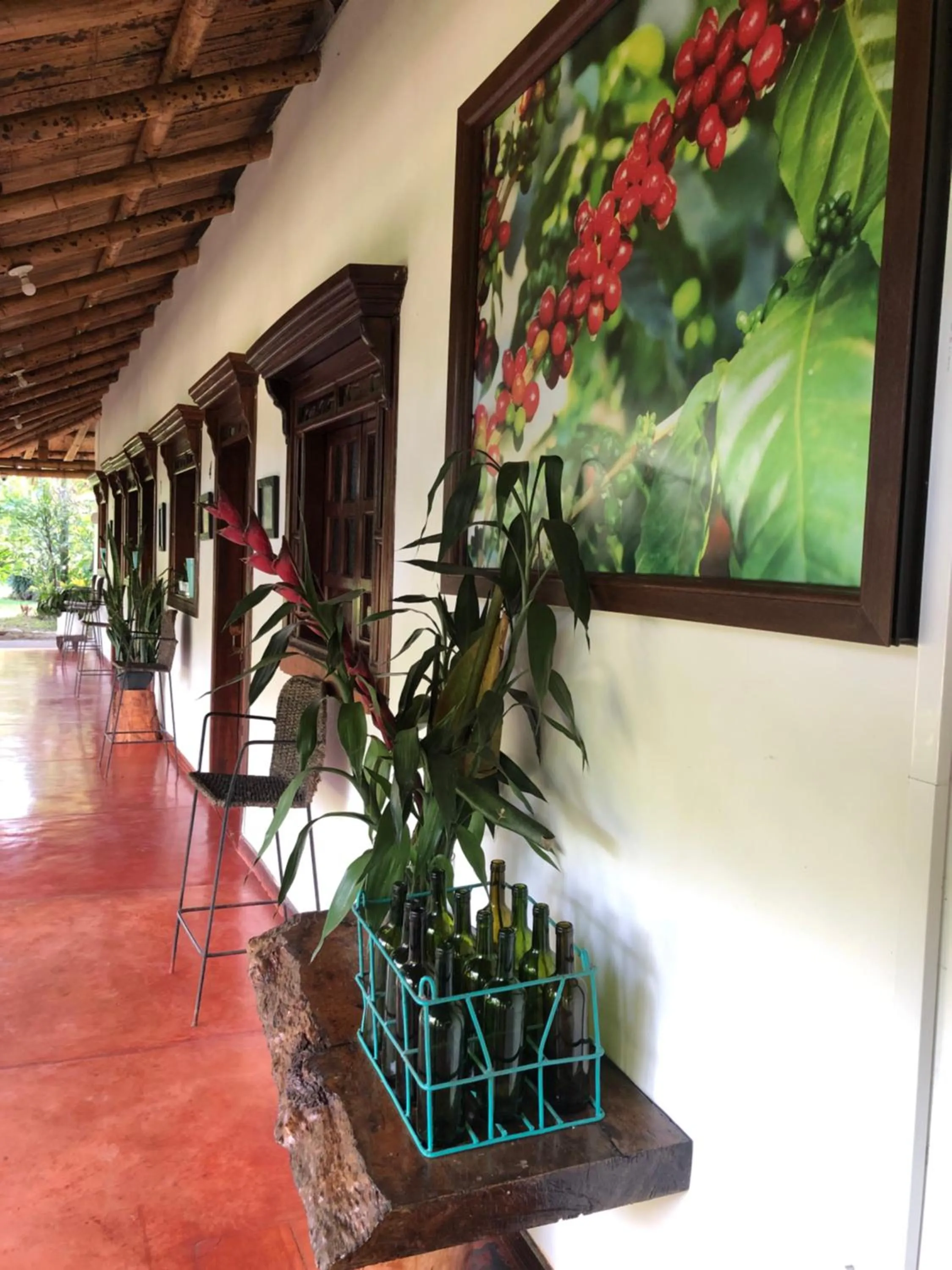 Garden in Finca Hotel Brasilia
