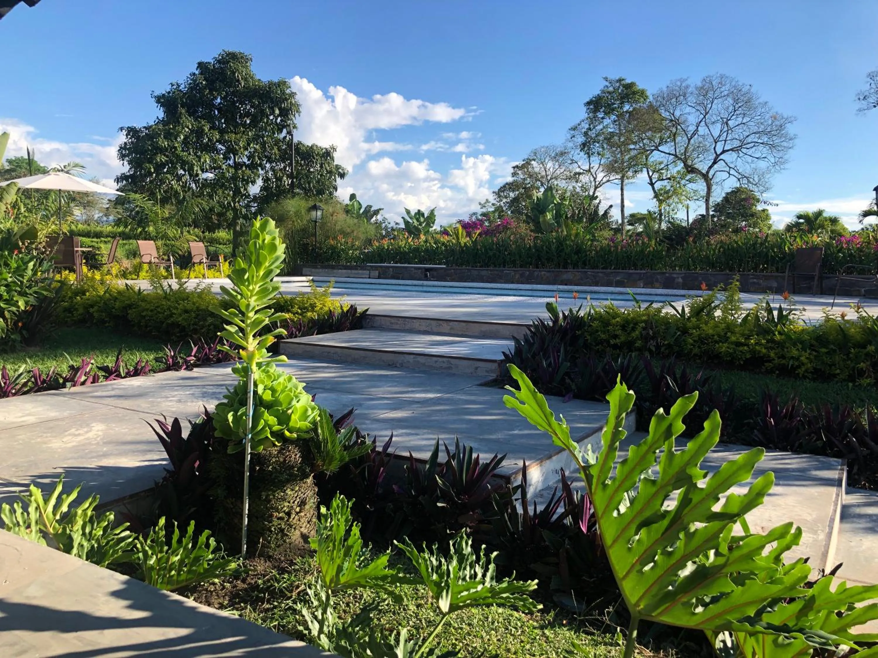 Natural landscape in Finca Hotel Brasilia