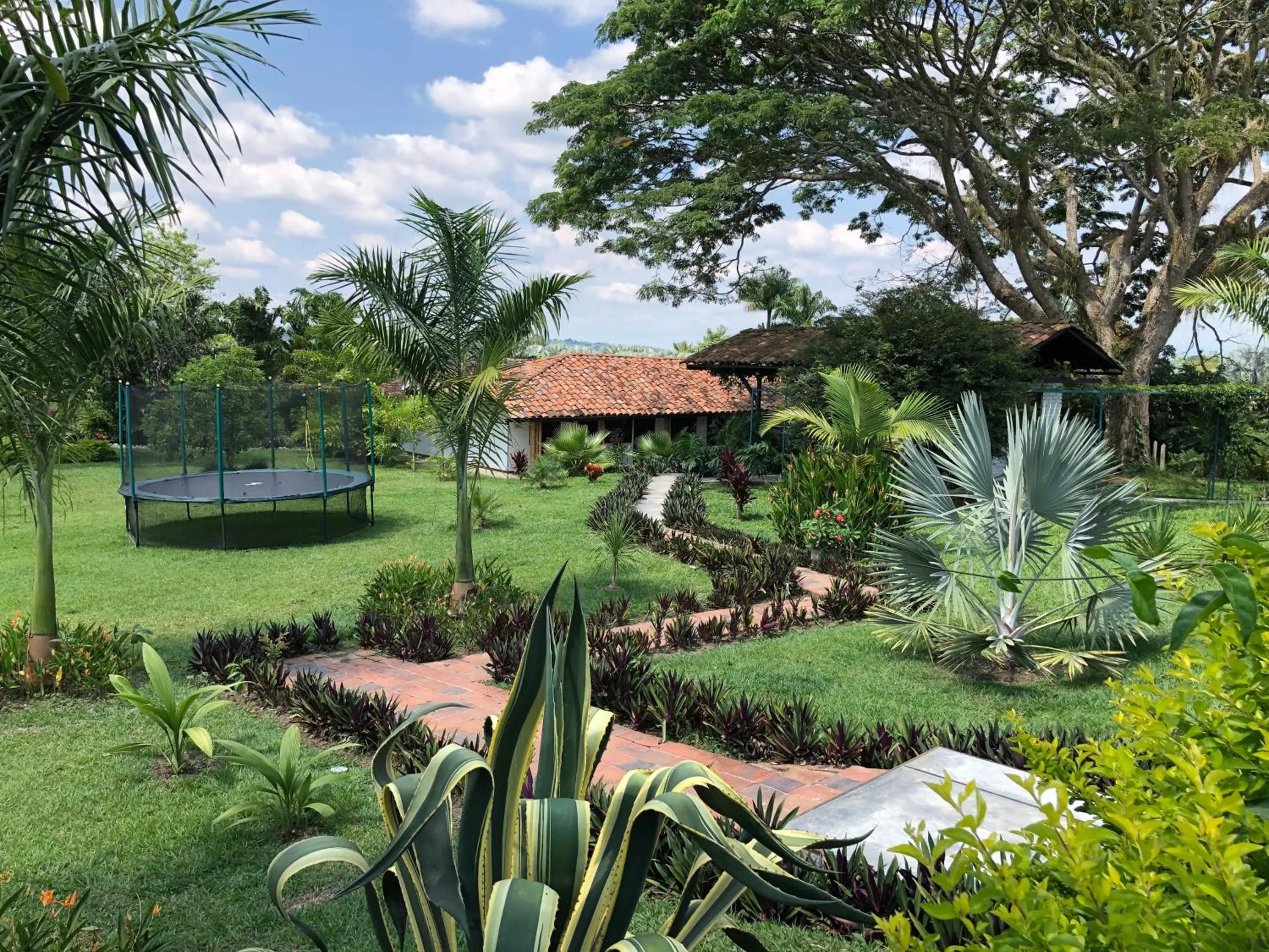 Garden in Finca Hotel Brasilia