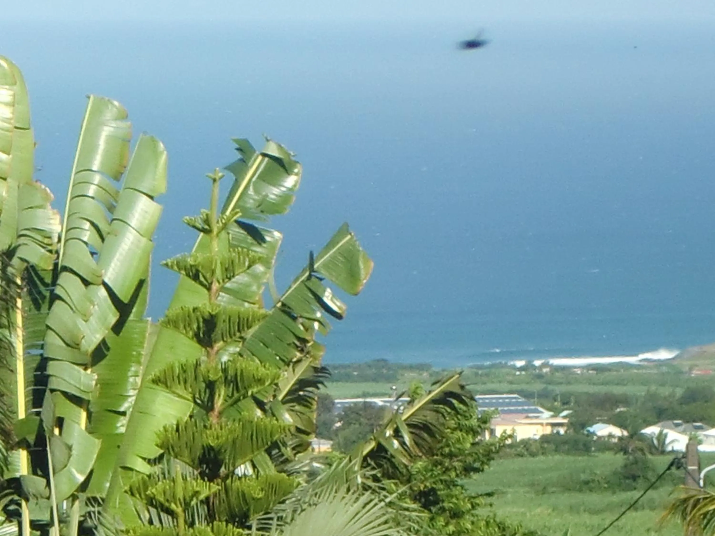 Sea view in Villa Ambralini
