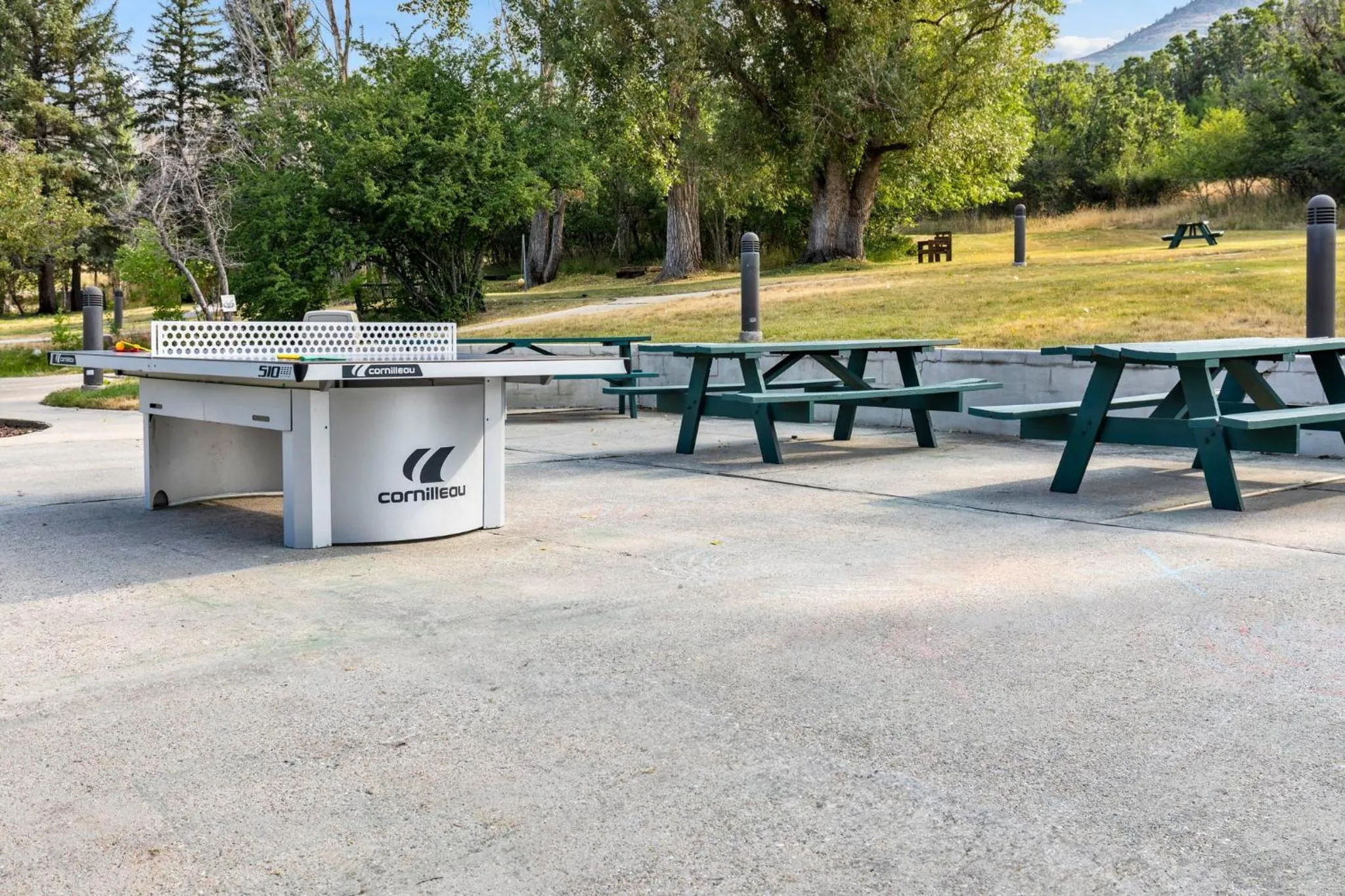 Sports in WorldMark Wolf Creek