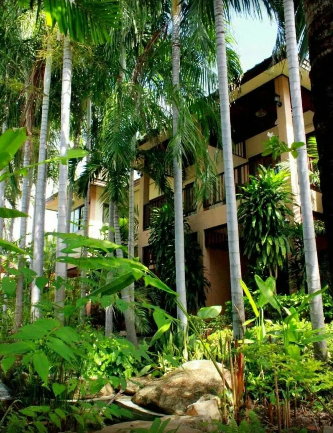 Garden in Meewaya Hotel