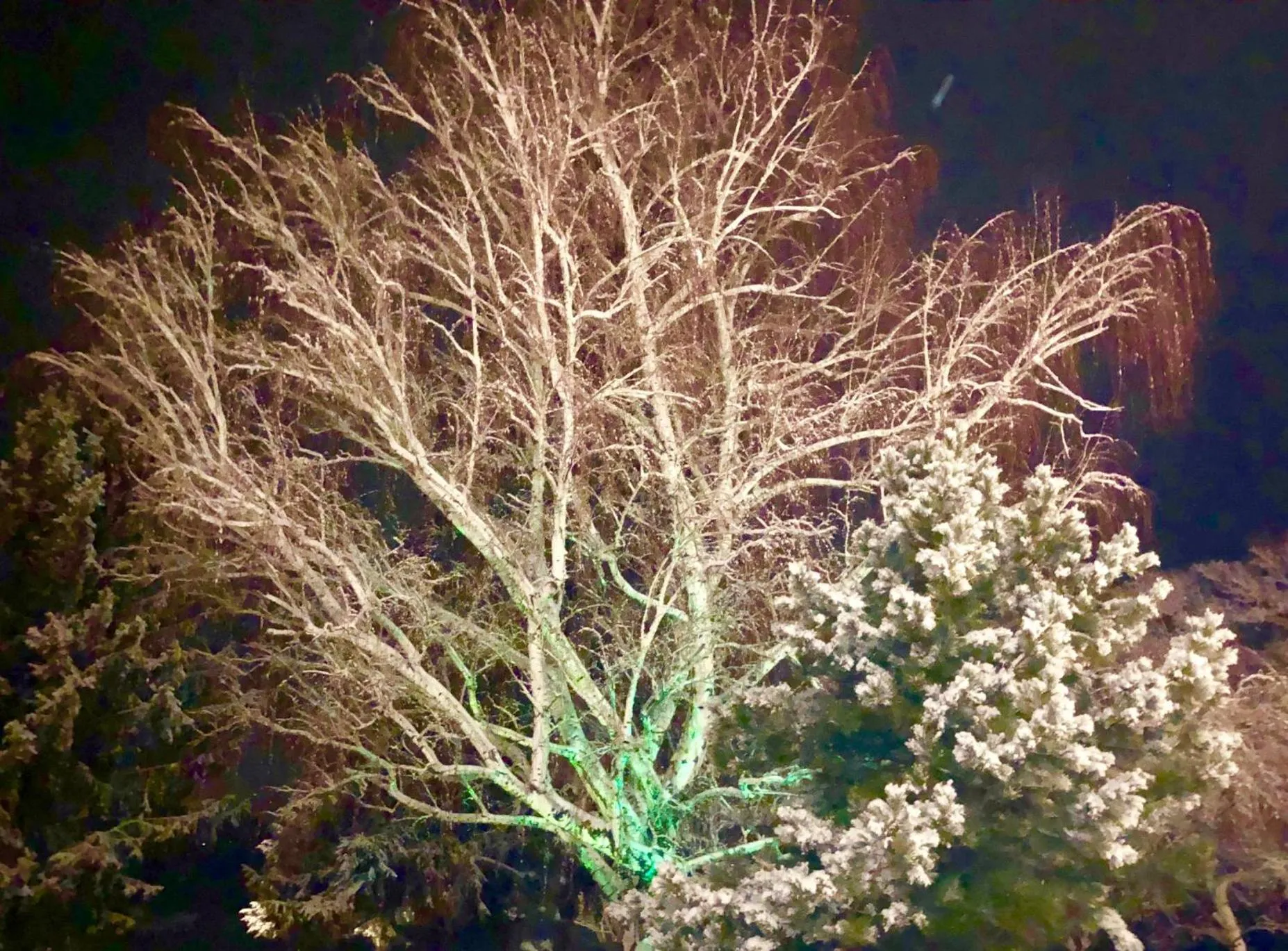 Winter in Lakeside Lodge and Suites