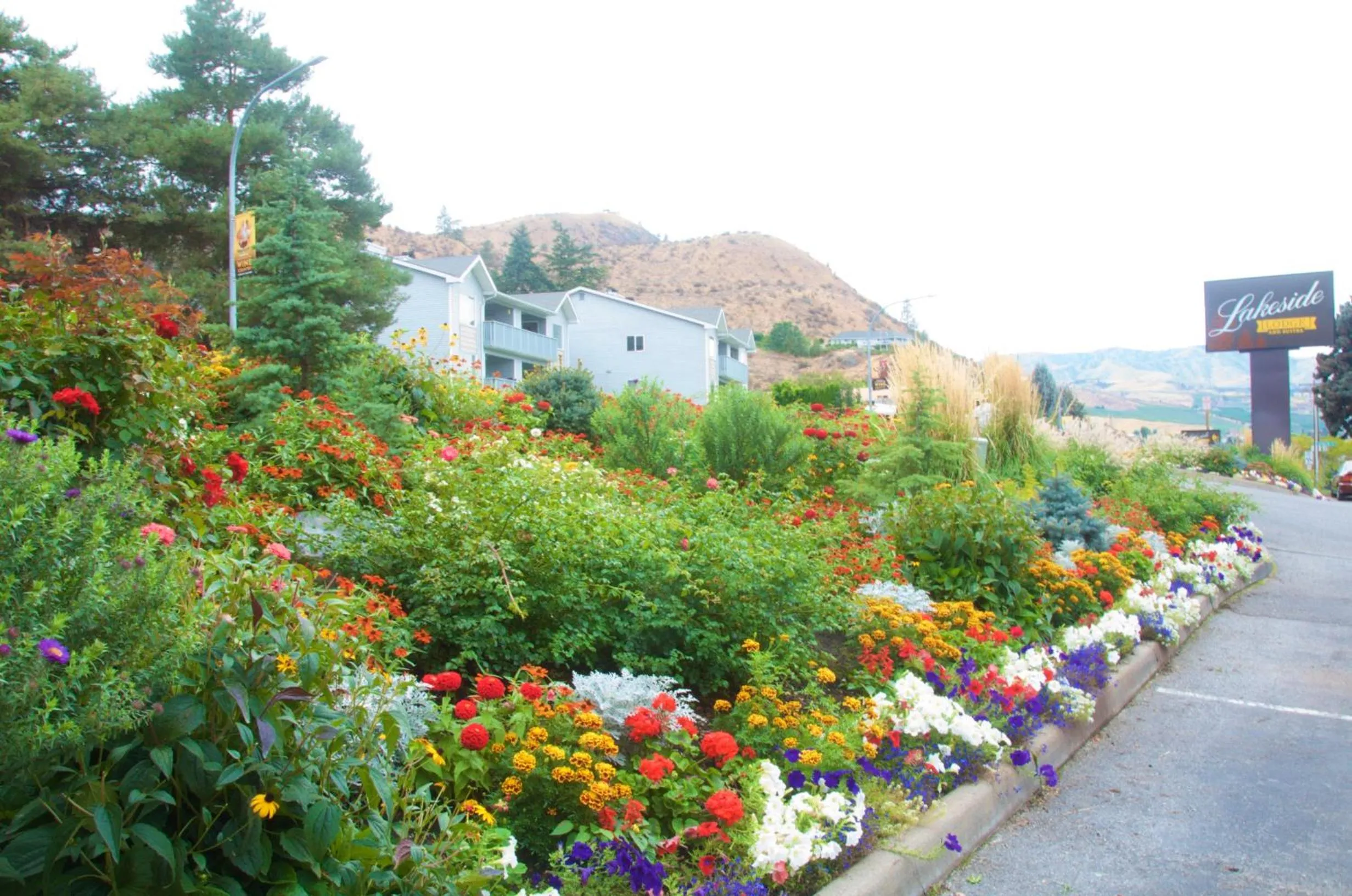 Natural landscape in Lakeside Lodge and Suites