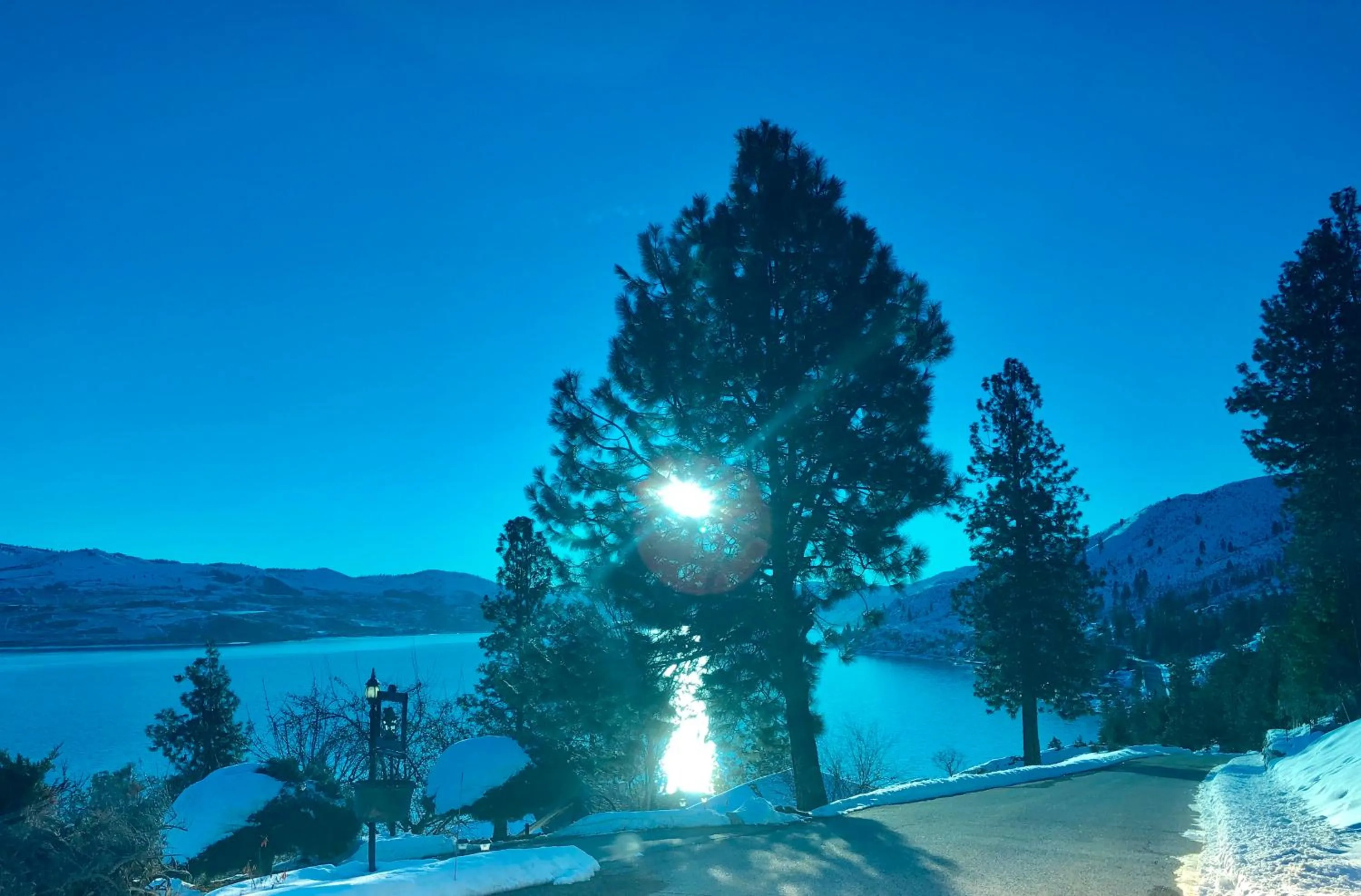 Natural landscape in Lakeside Lodge and Suites