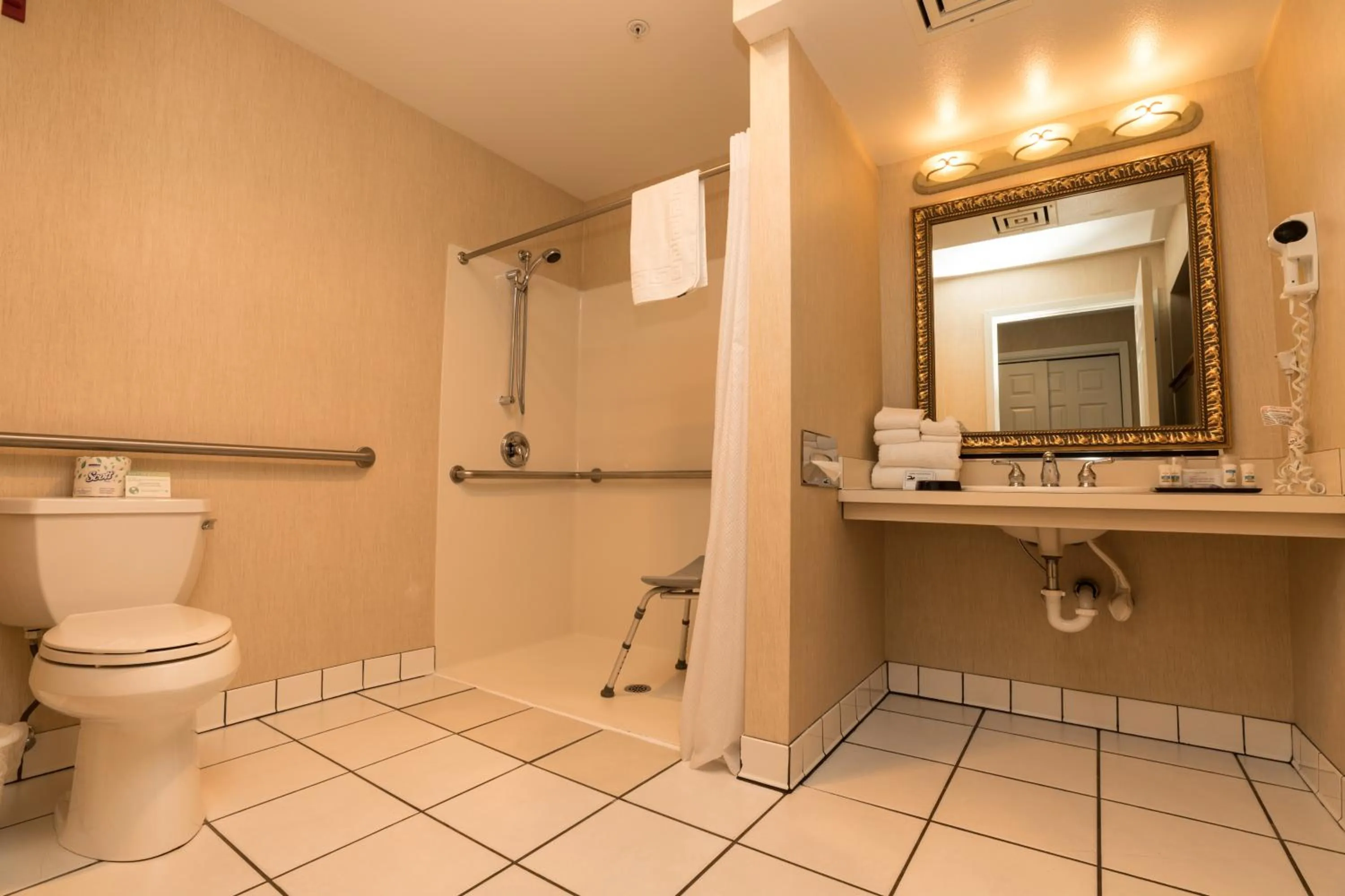 Bathroom in Lakeside Lodge and Suites