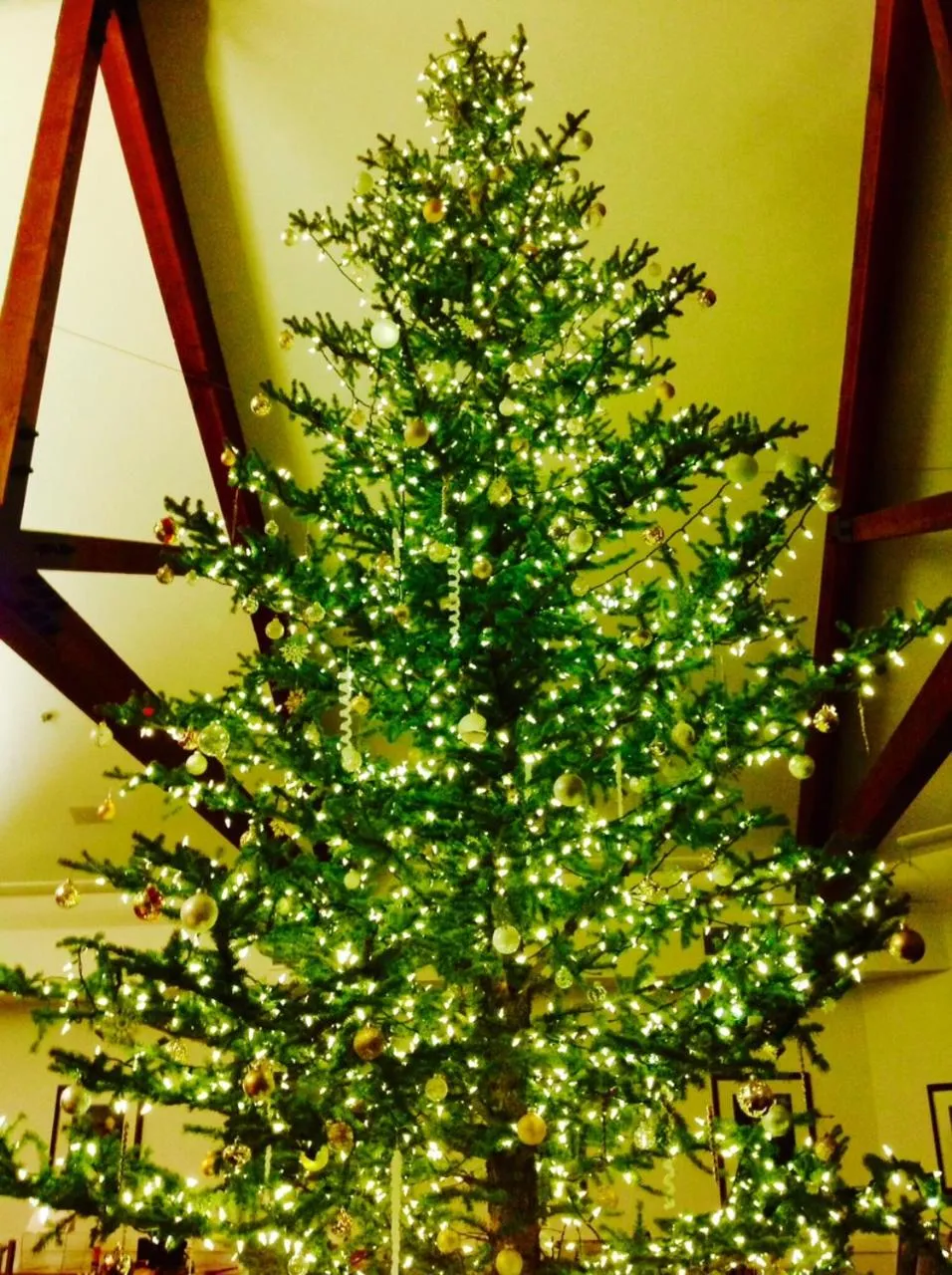 Winter in Lakeside Lodge and Suites