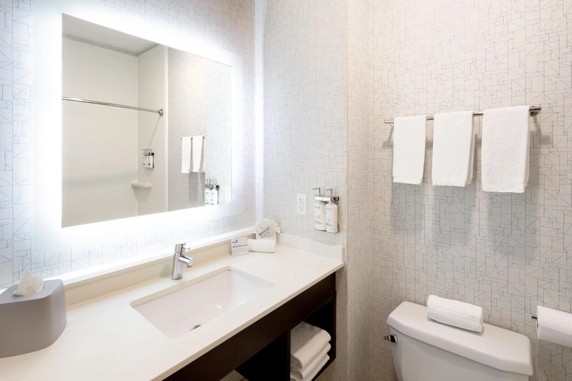 Bathroom in Holiday Inn Express & Suites Chicago West - St Charles by IHG