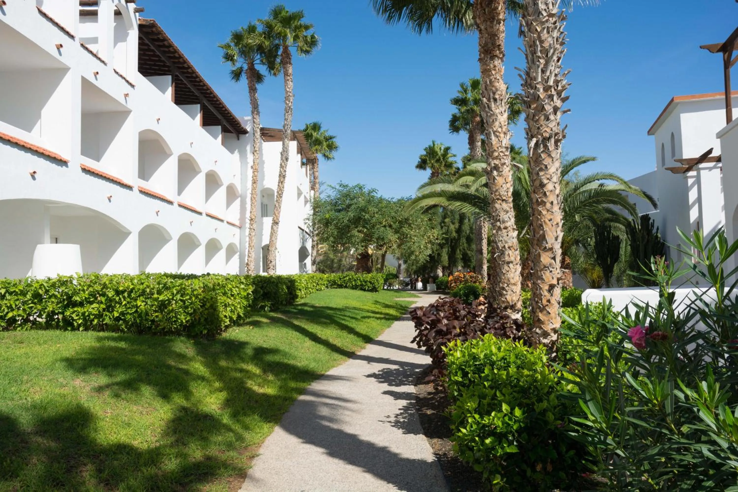 Garden in Club Jandía Princess