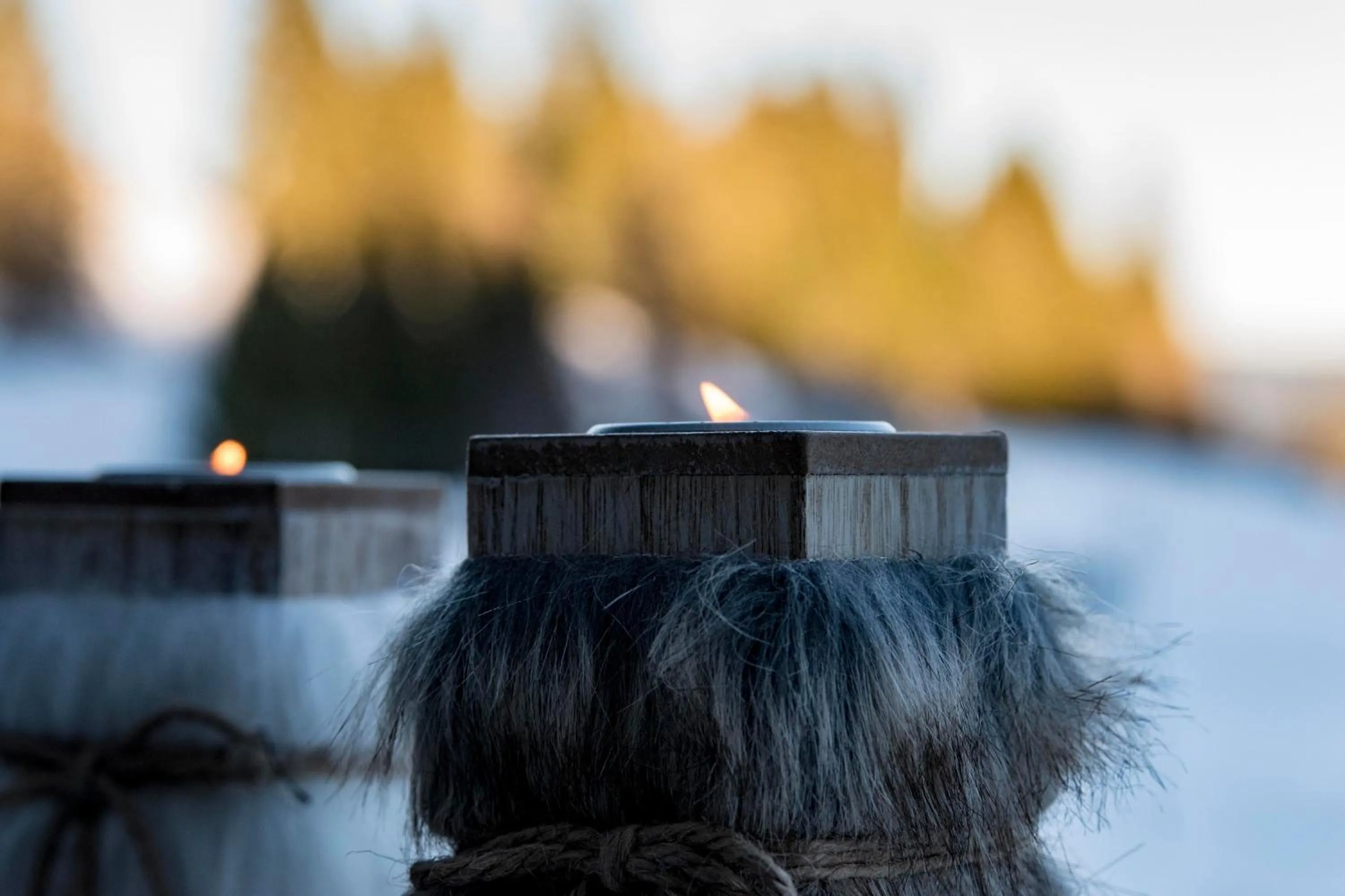 Decorative detail in Hotel & Restaurant Grüner Baum - Die Grüne Oase Am Feldberg