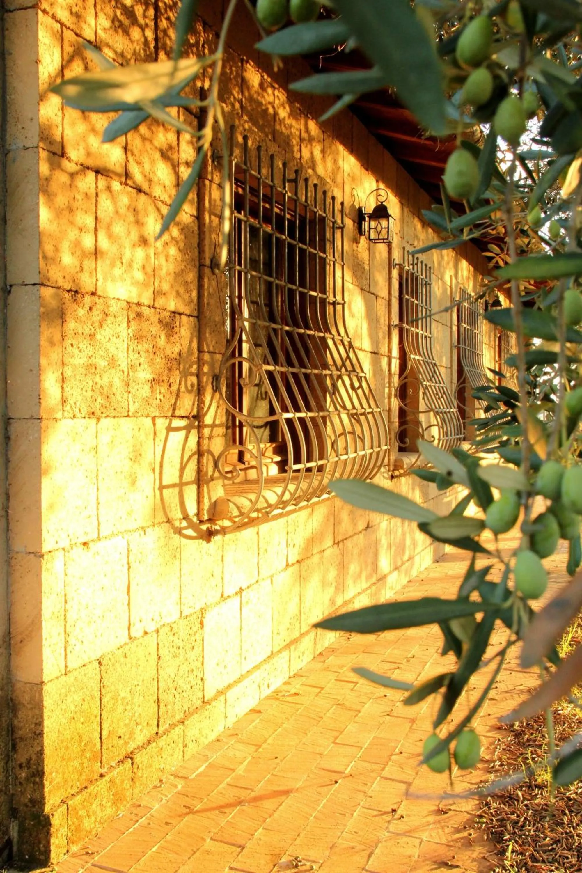 Facade/entrance in Al Vecchio Fontanile B&B