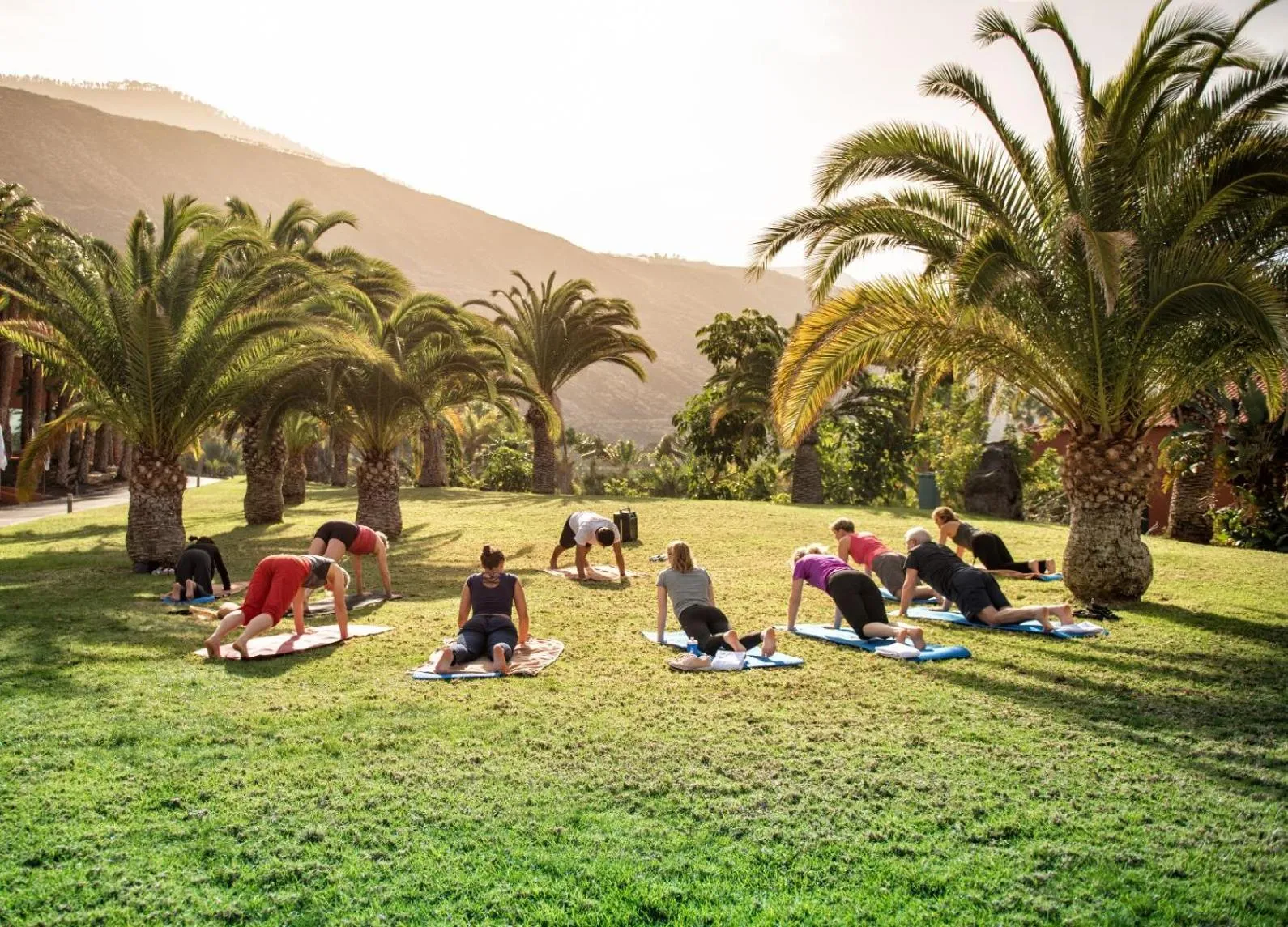 Activities in La Palma Princess