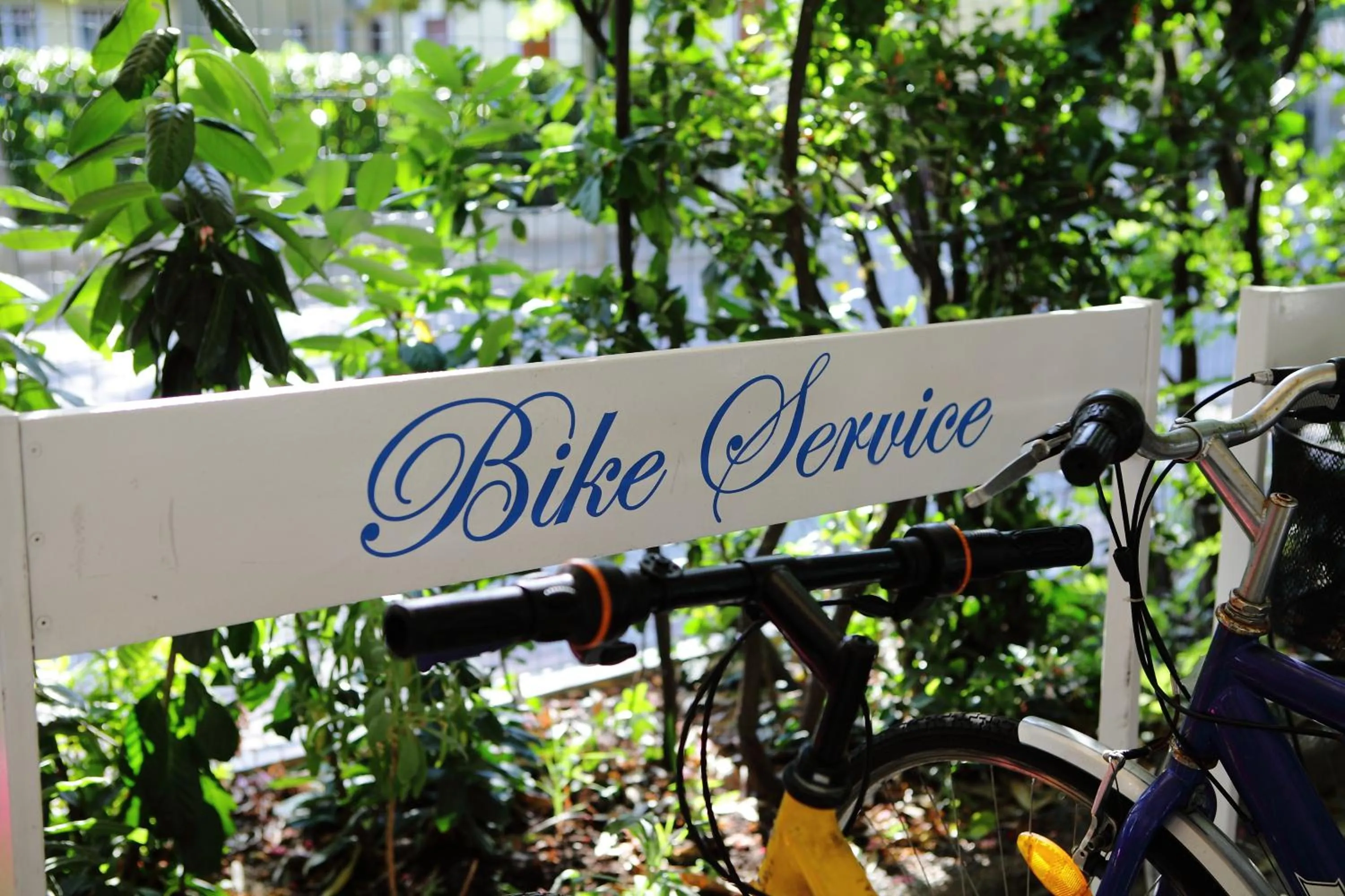 Other in Hotel Venezia e la Villetta