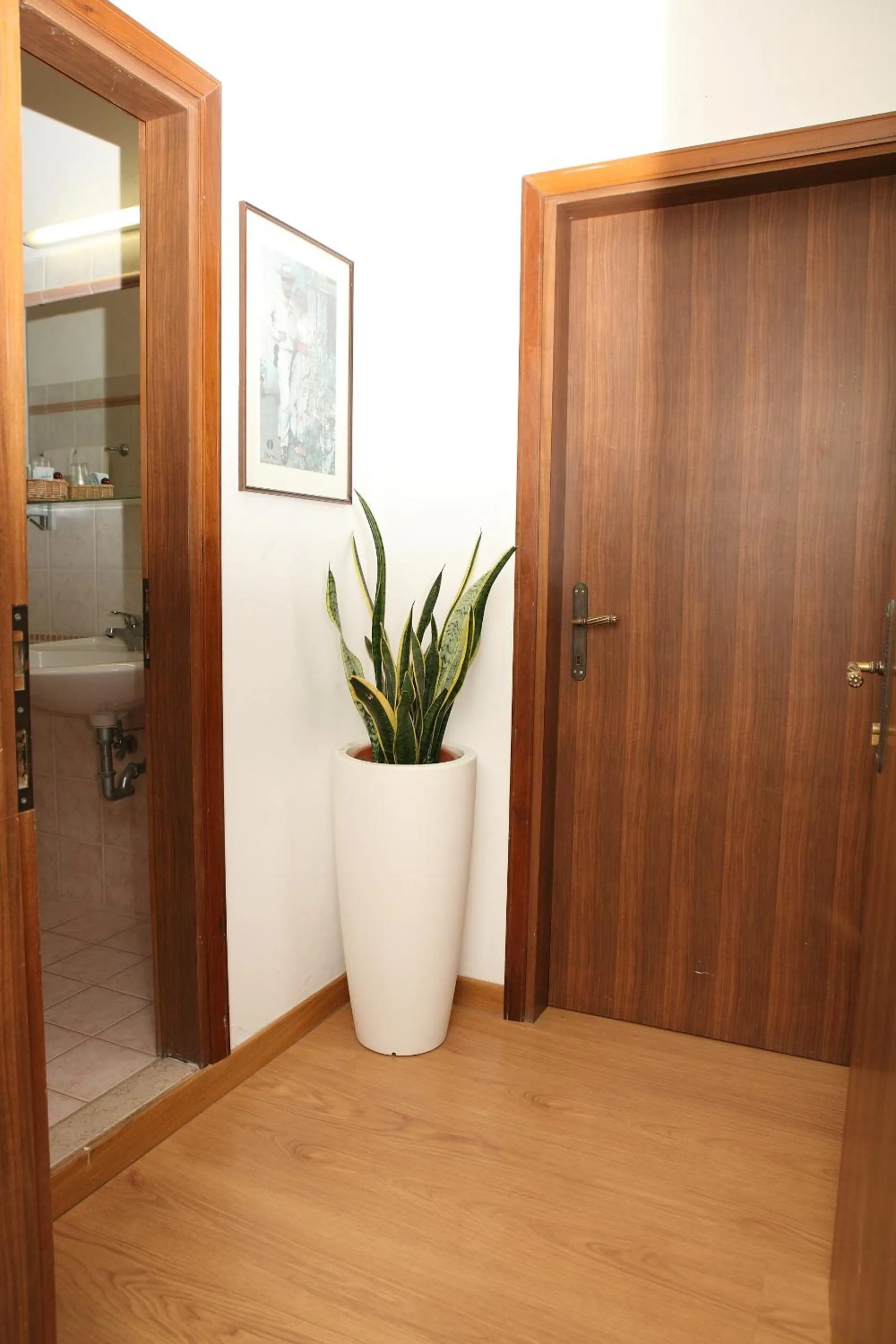 Other in Hotel Venezia e la Villetta