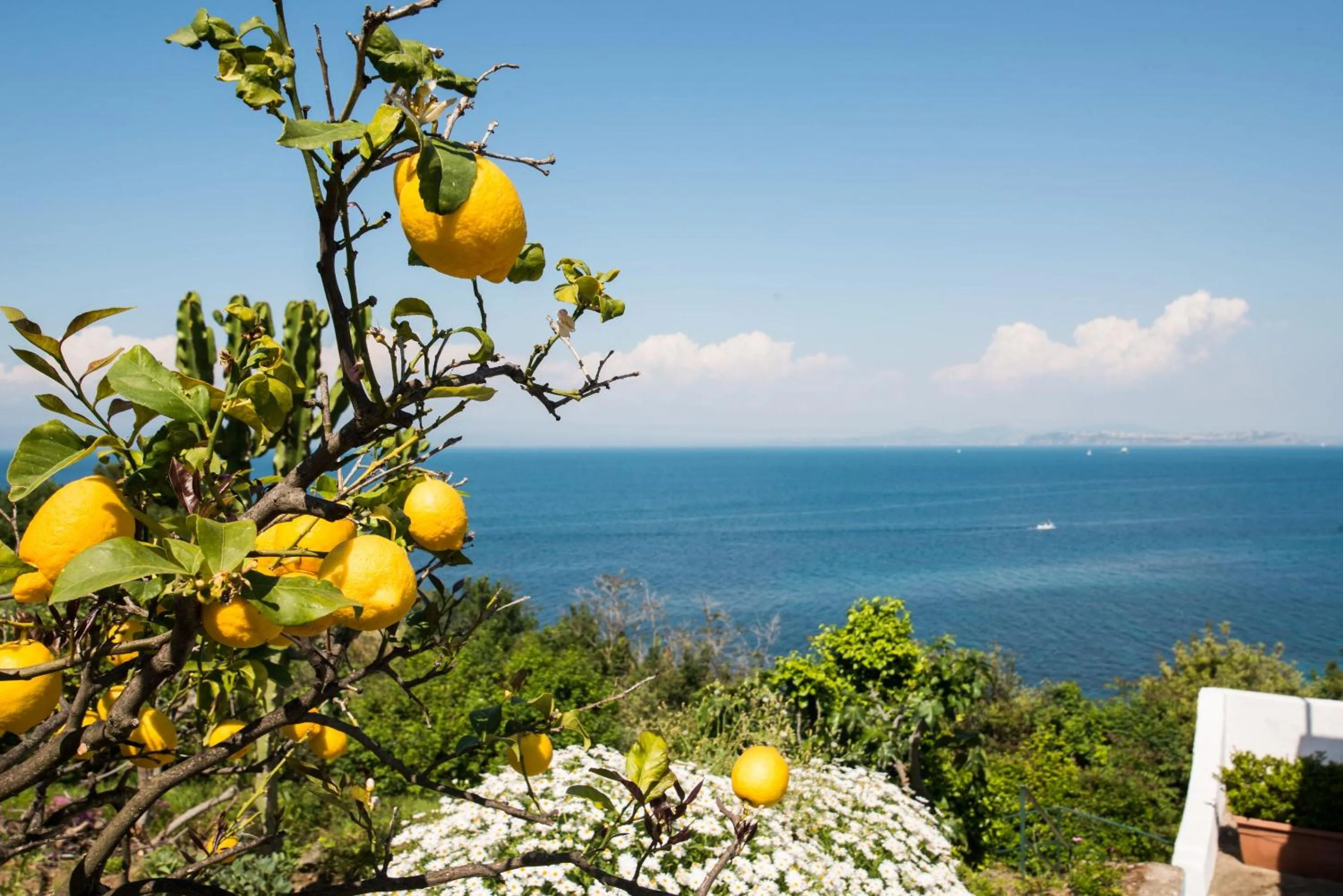 Natural landscape in Hotel Bagnitiello