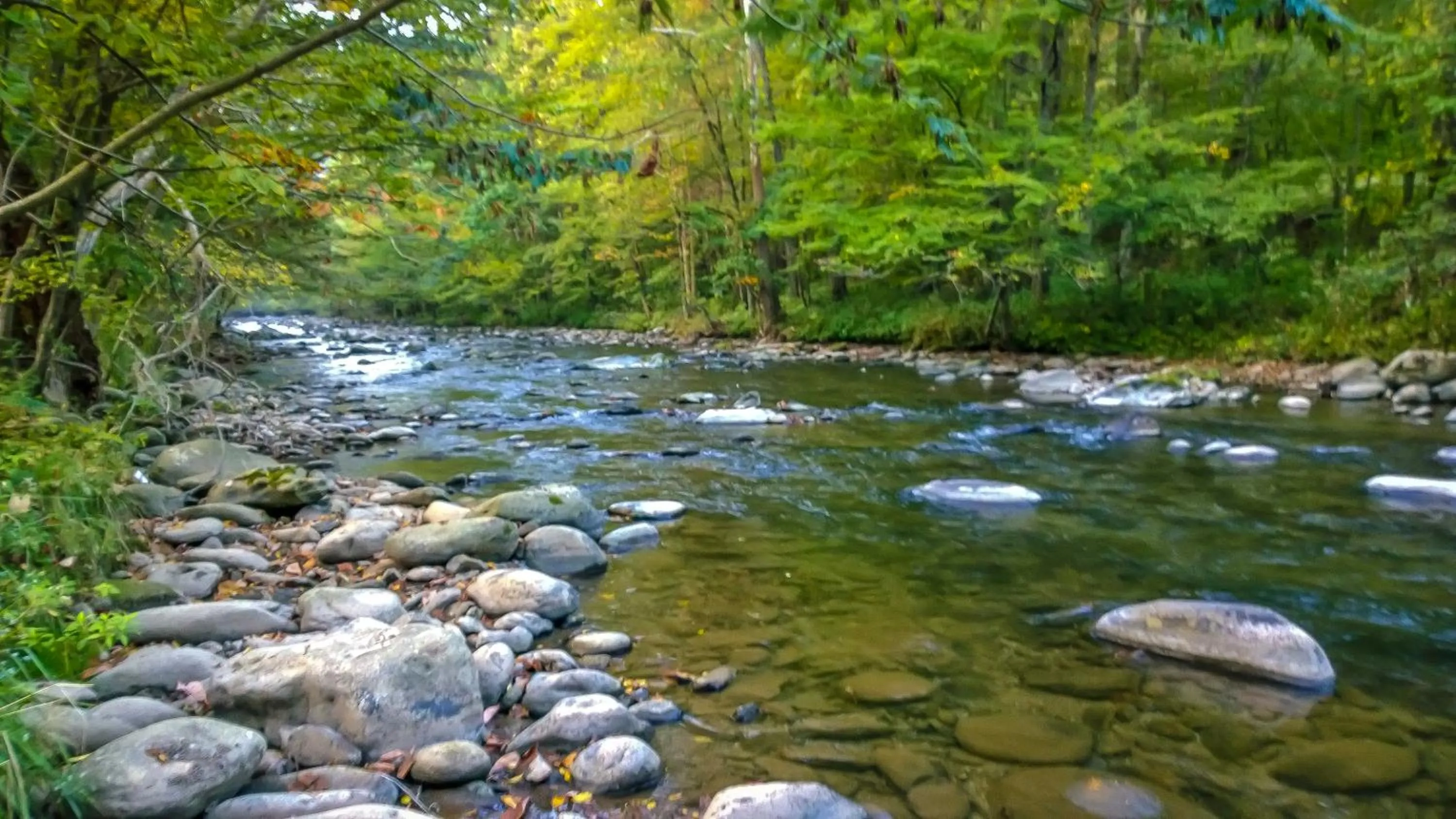 Natural landscape in Westgate Smoky Mountain Resort & Spa