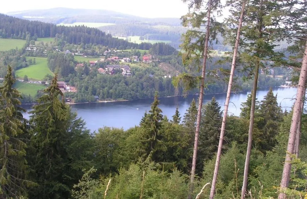 Fishing in Hotel Sternen