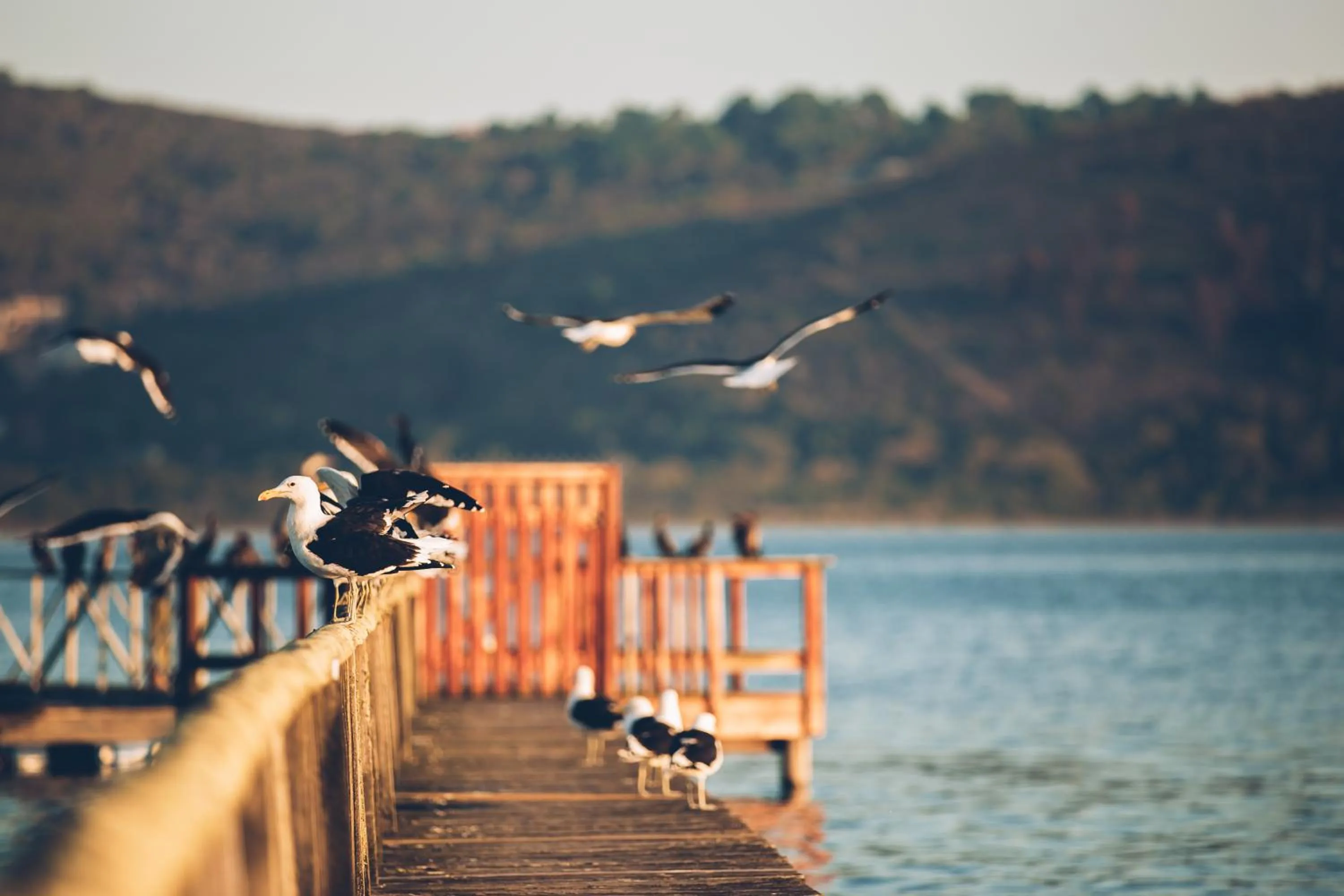 Natural landscape in Oyster Creek Lodge