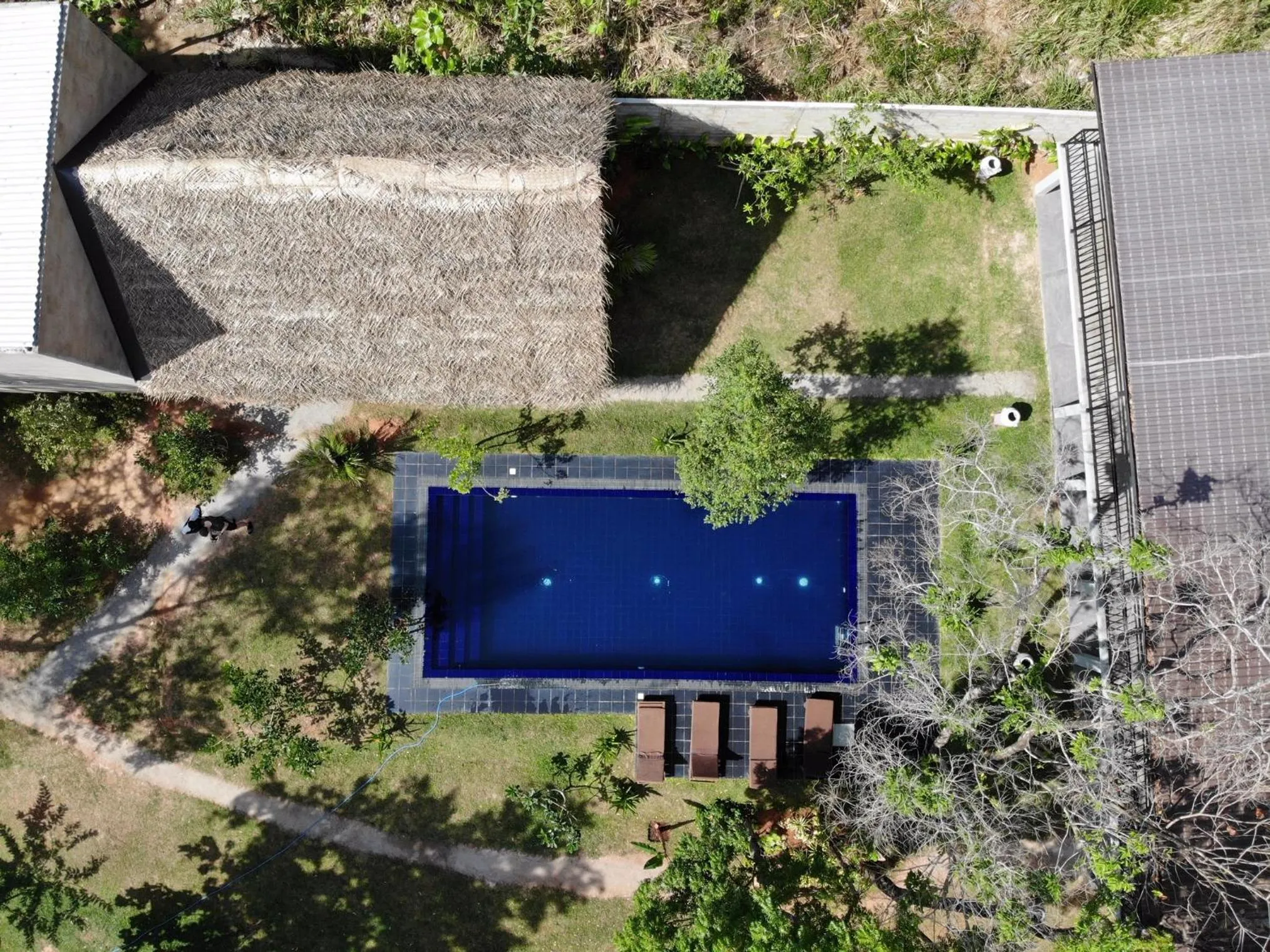 Pool view in il Frangipane